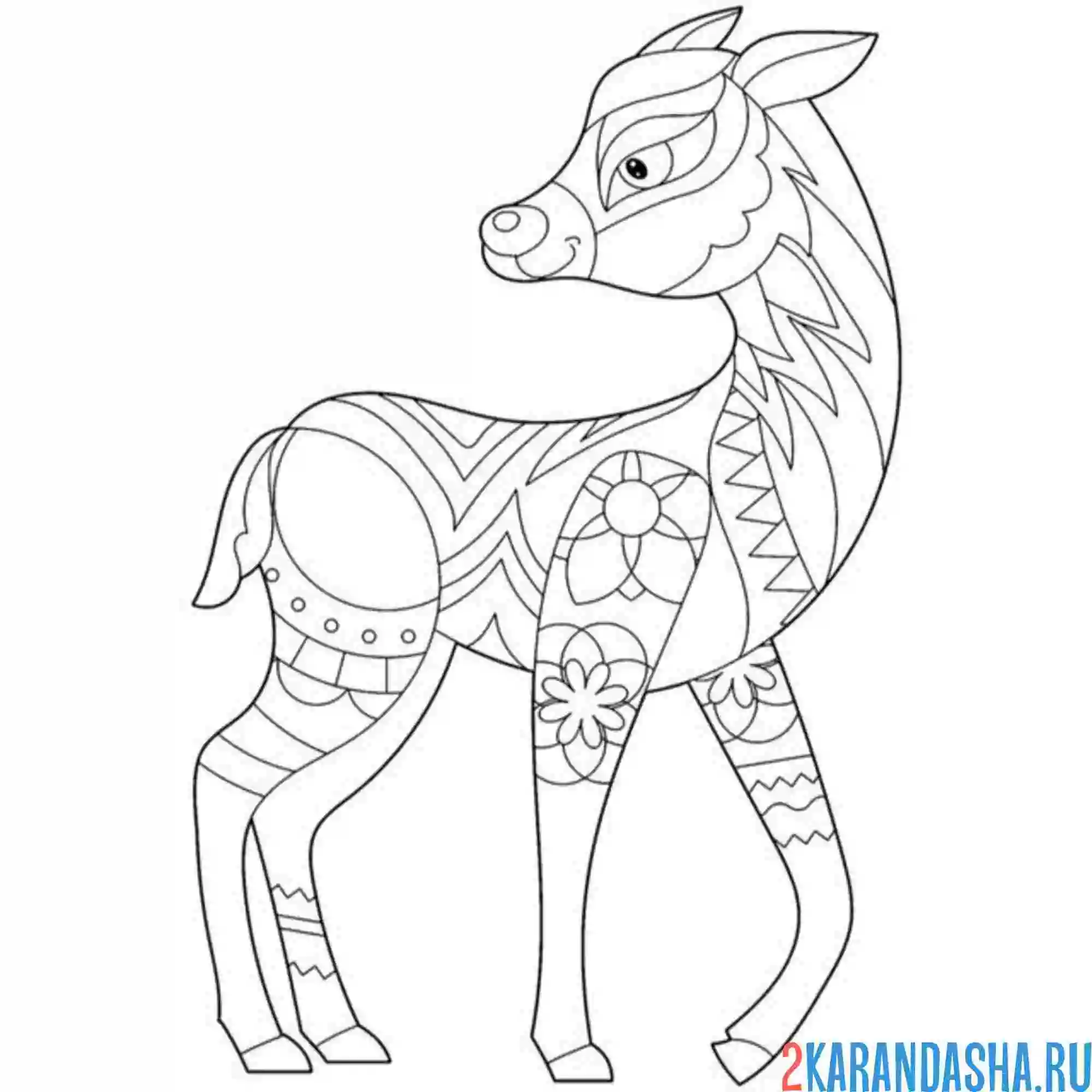 Раскраска антистресс олень без рогов