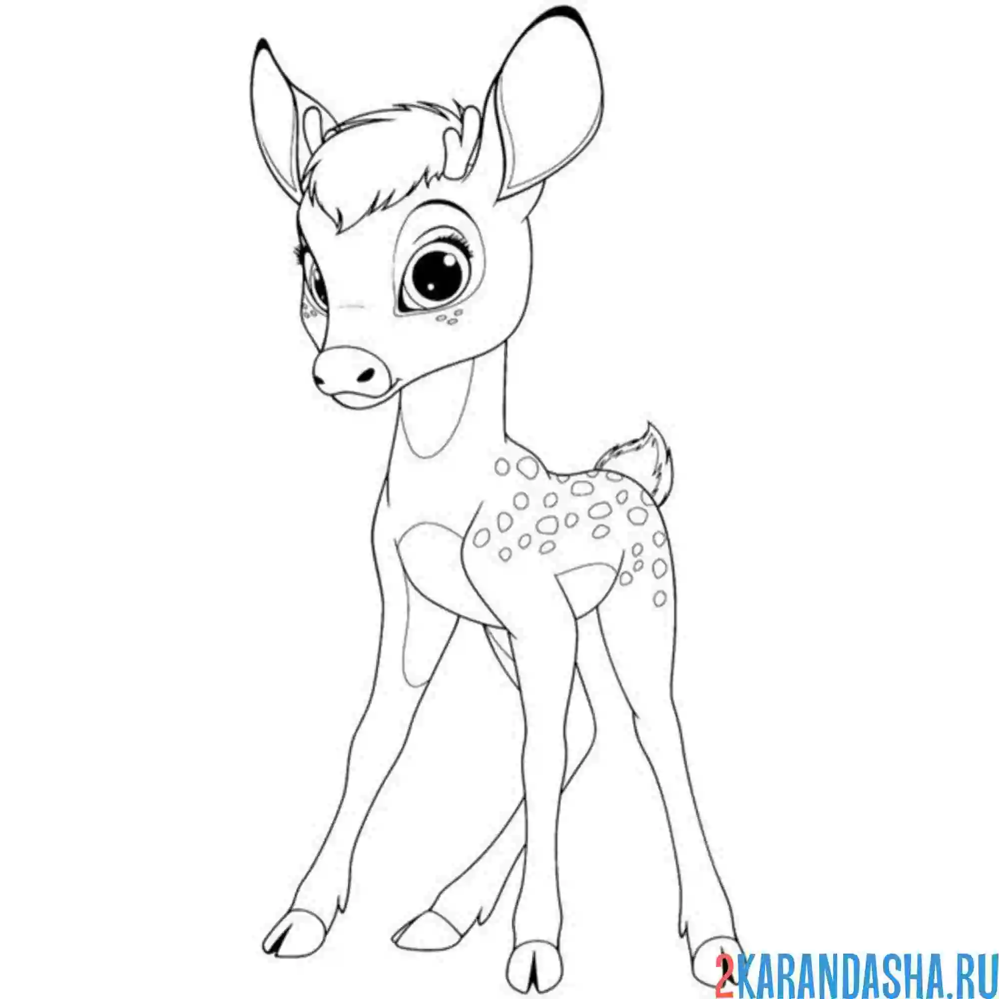 Раскраска очень милый олененок