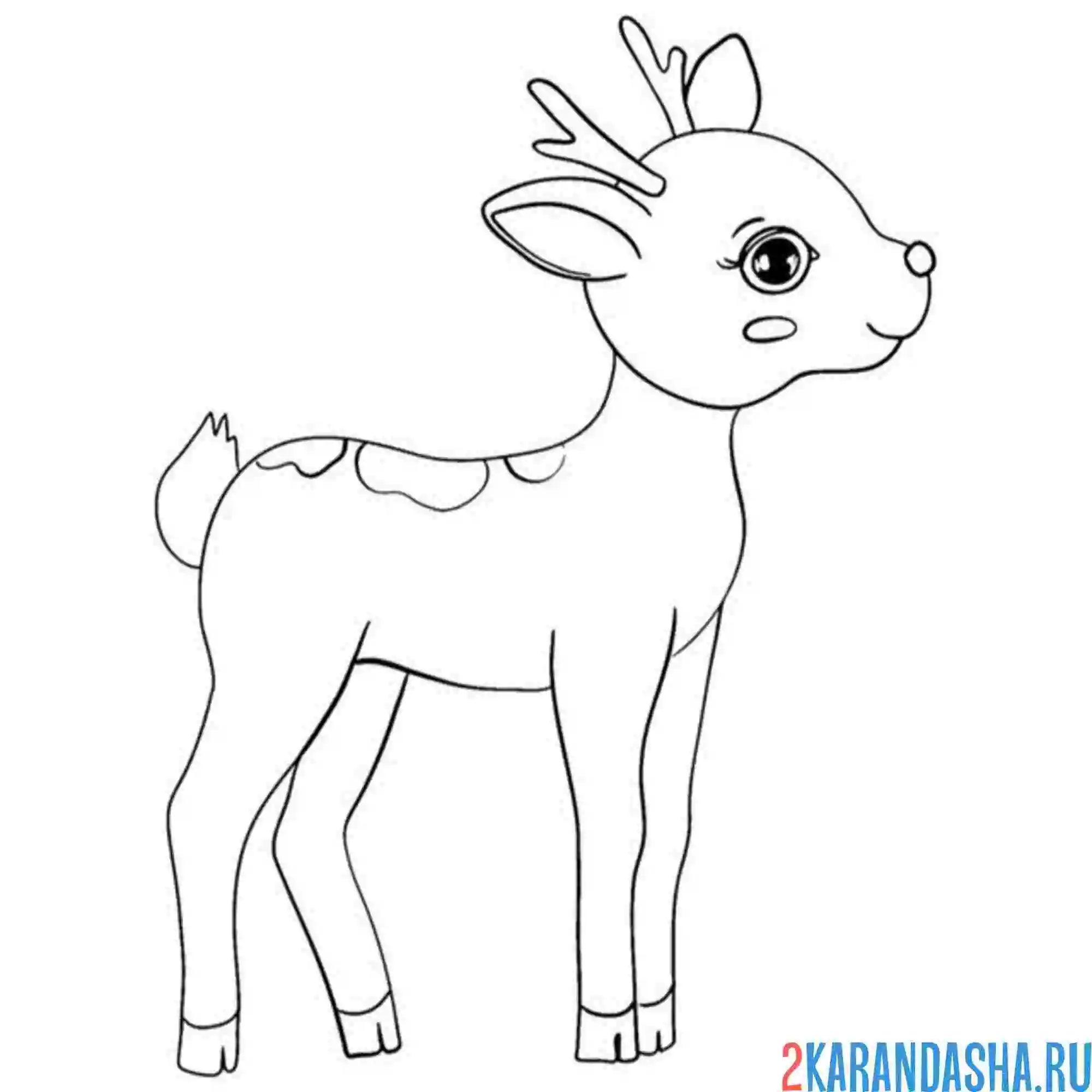 Раскраска маленький малыш олененок