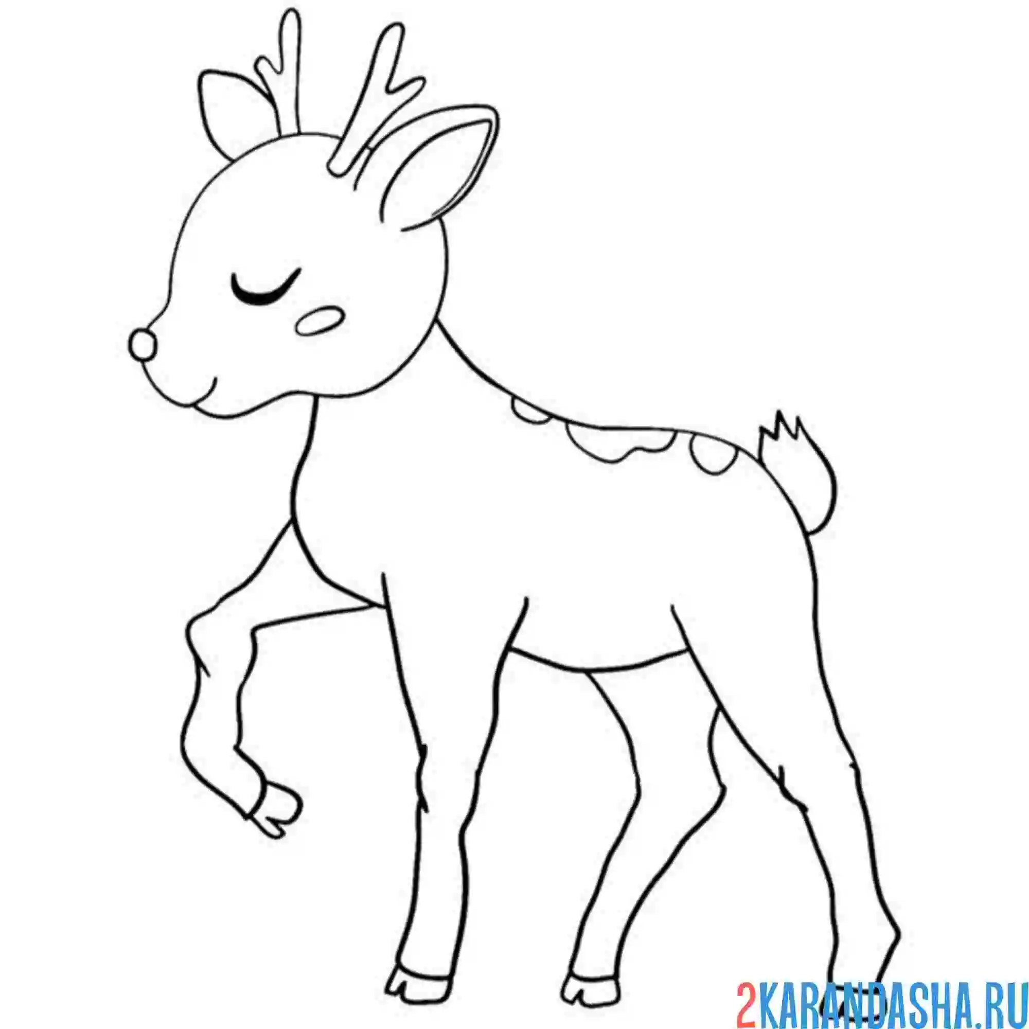 Раскраска крошка олененок