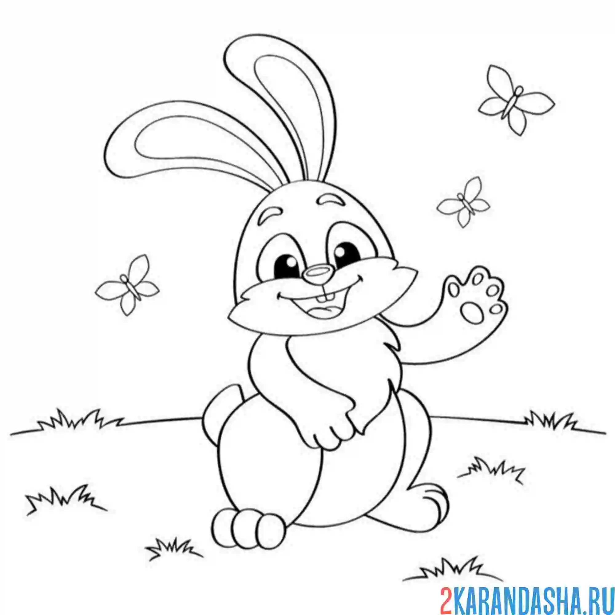 Раскраска заяц увидел бабочку