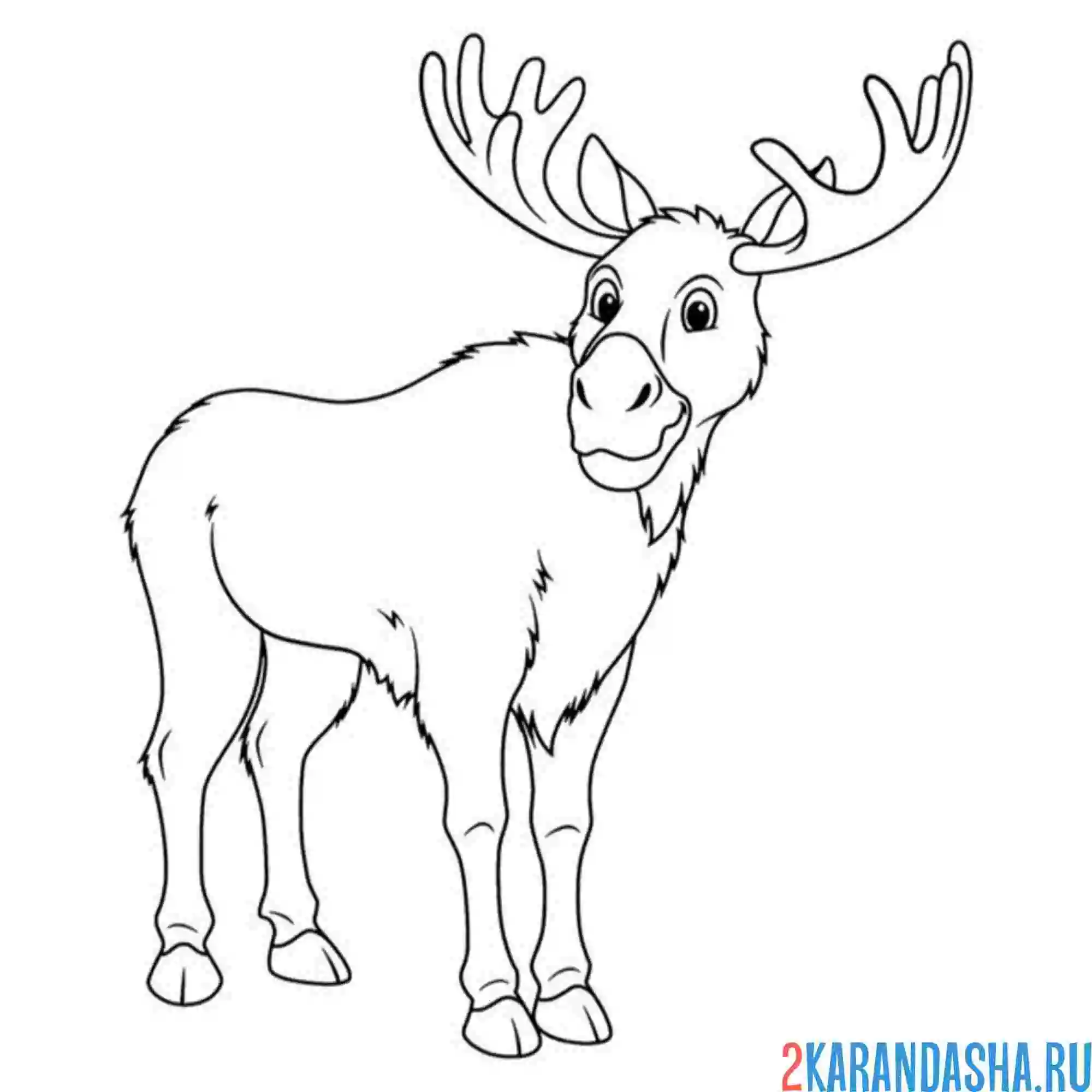Раскраска большой лось