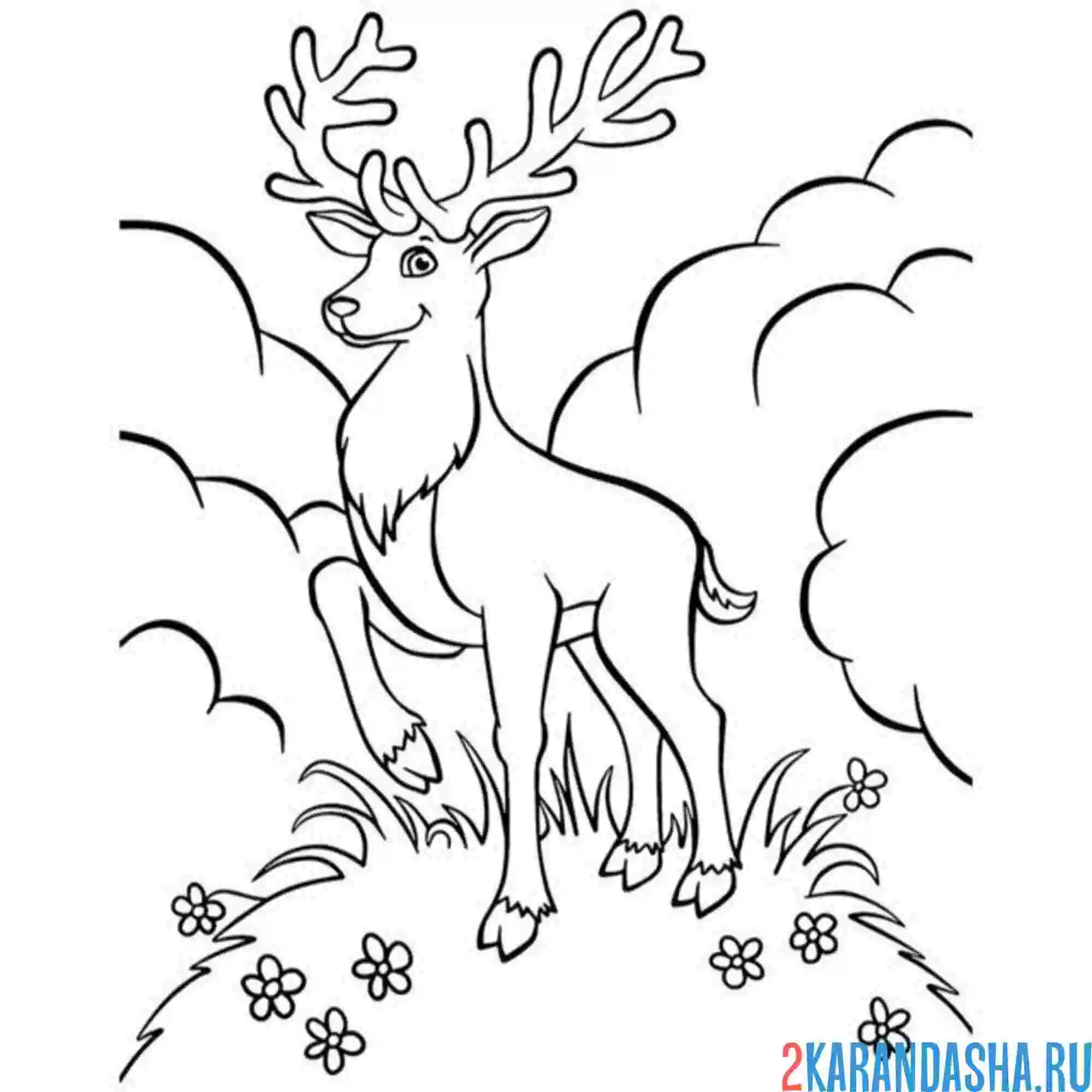 Раскраска олень в лесу на горе