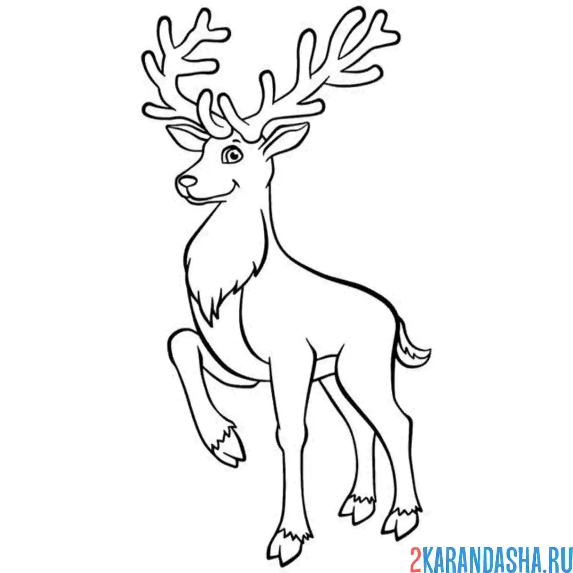 Раскраска статный олень