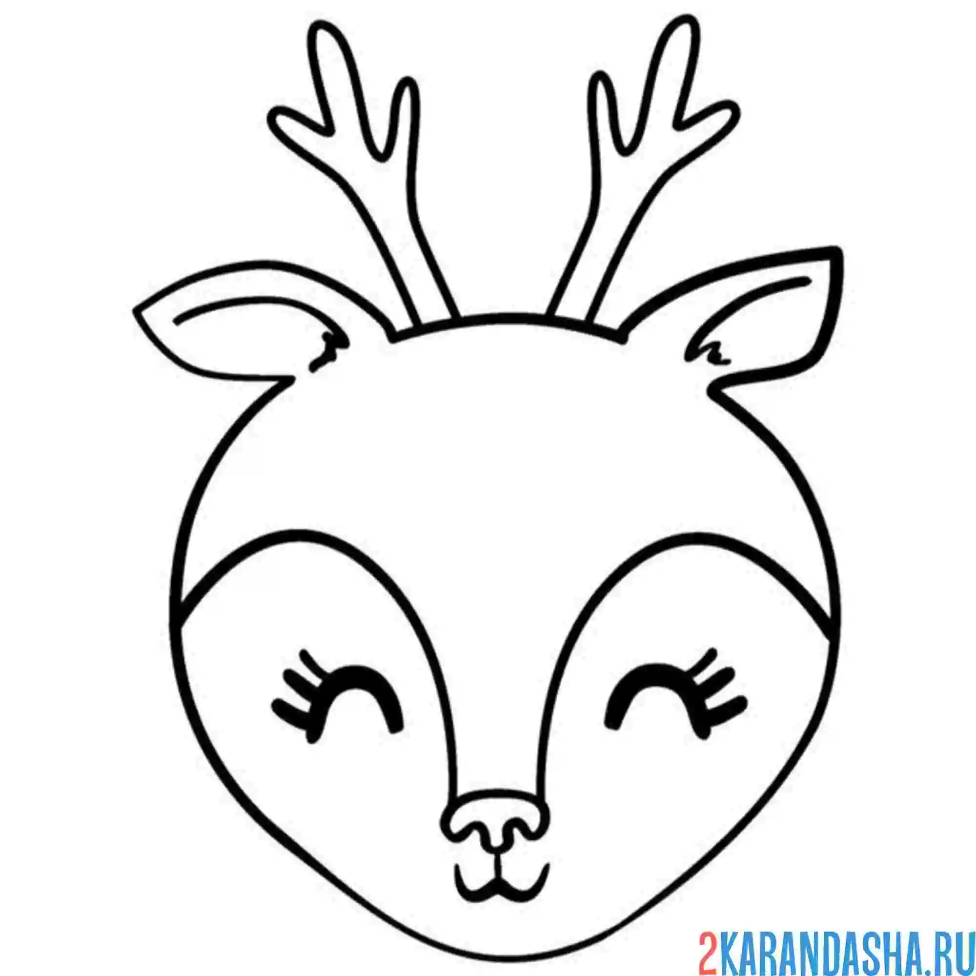 Раскраска мордочка милого оленя