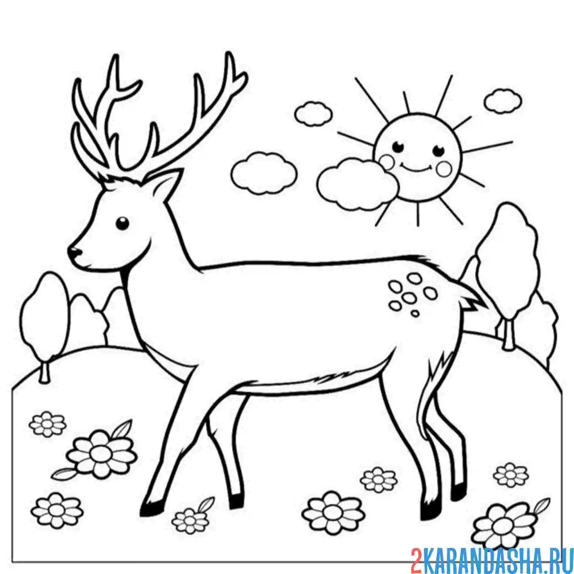 Раскраска олень на солнышке