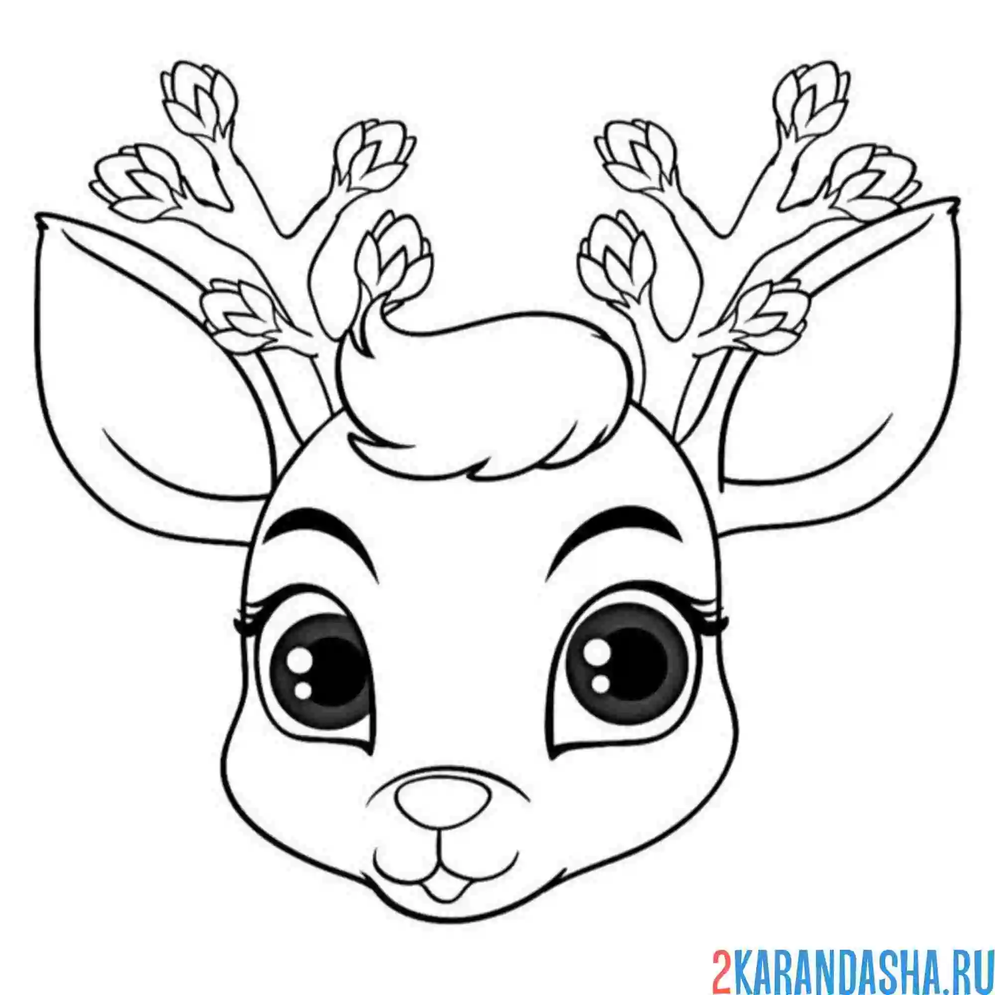 Раскраска очень красивая морда оленя