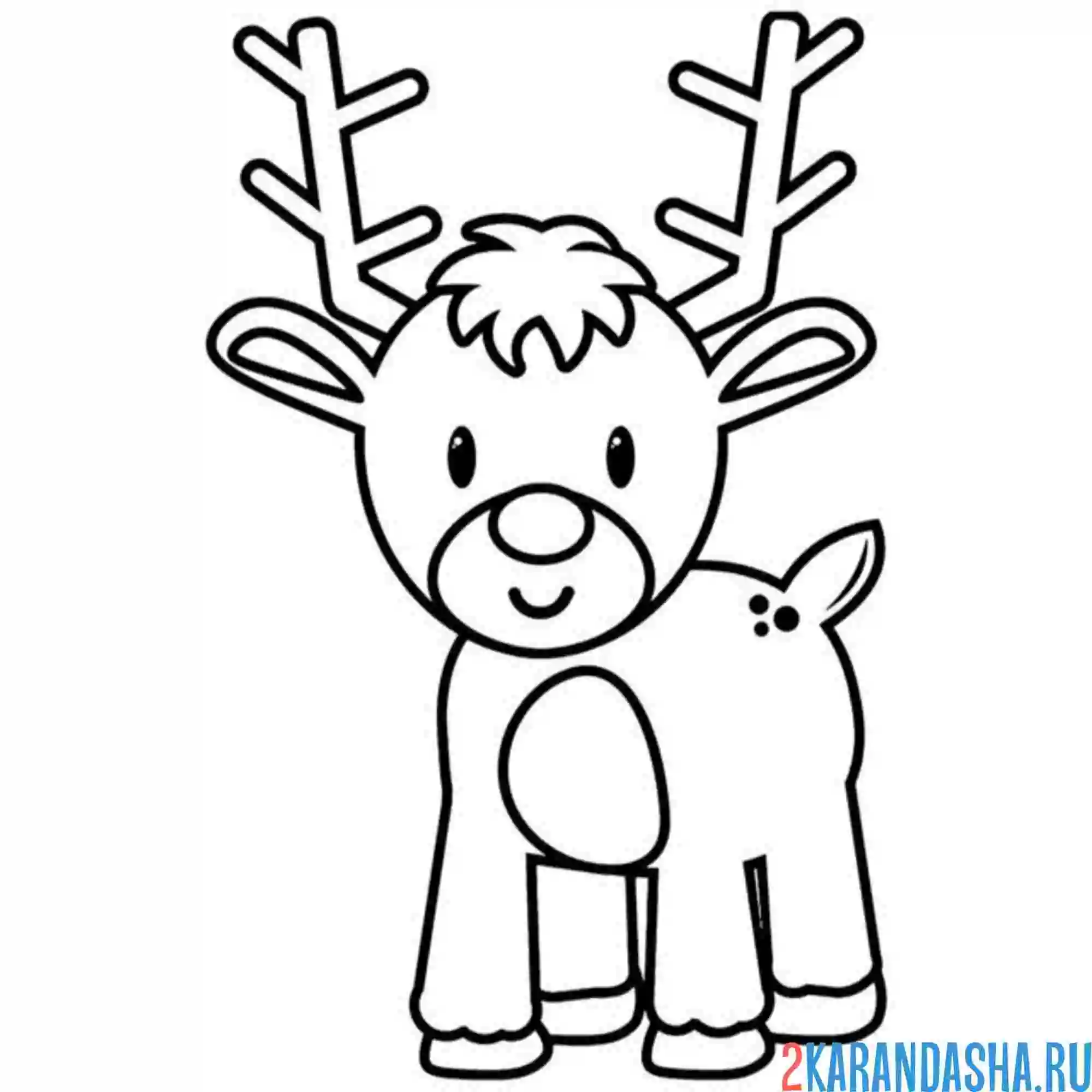 Раскраска олень рога сбоку