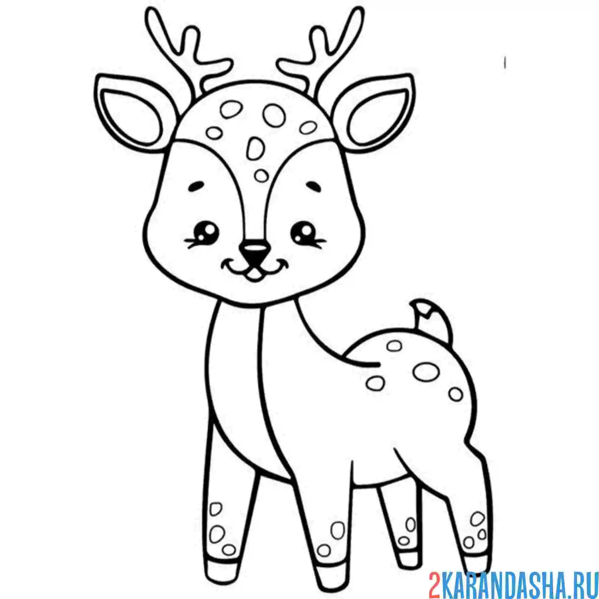 Раскраска упитанный олень