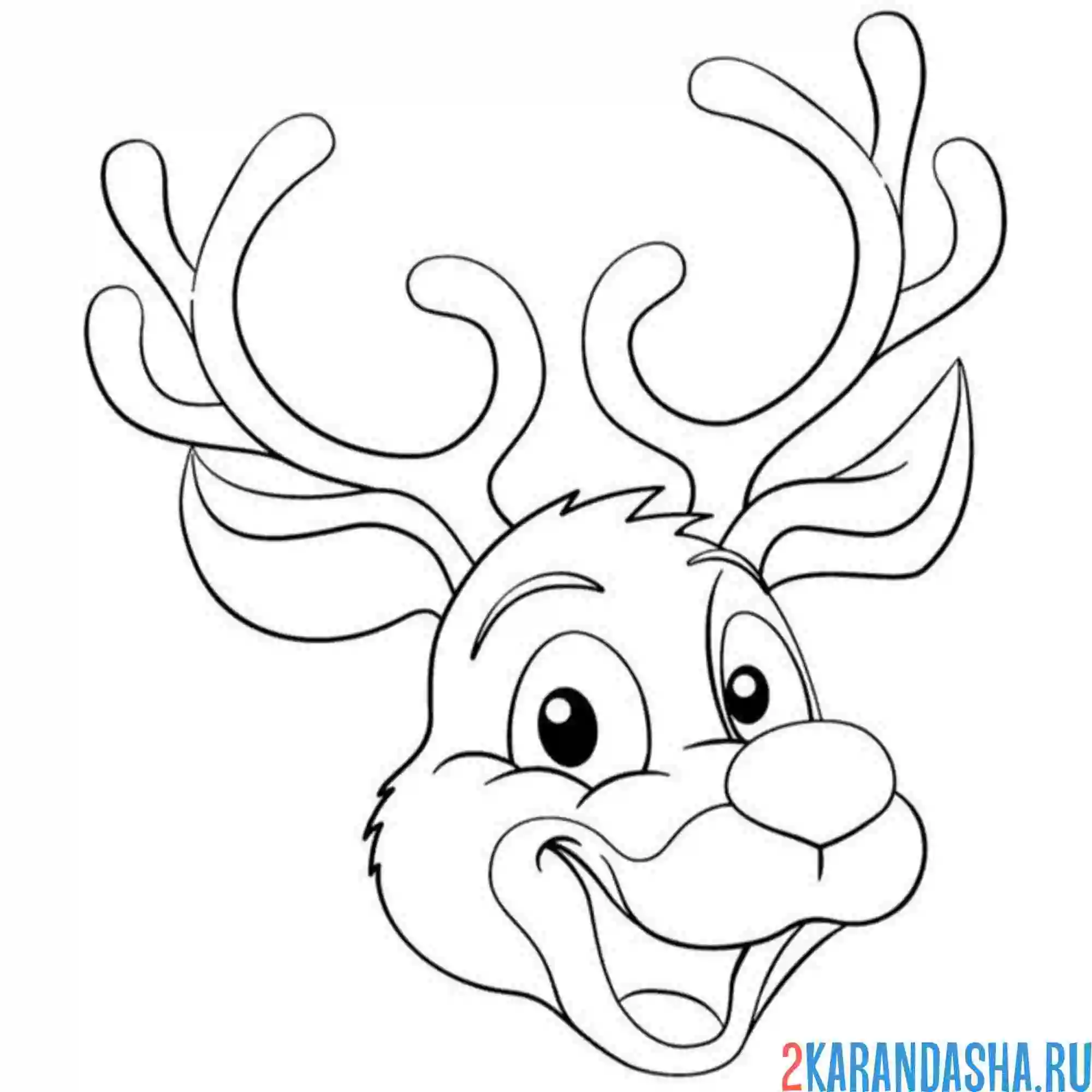 Раскраска счастливый олень