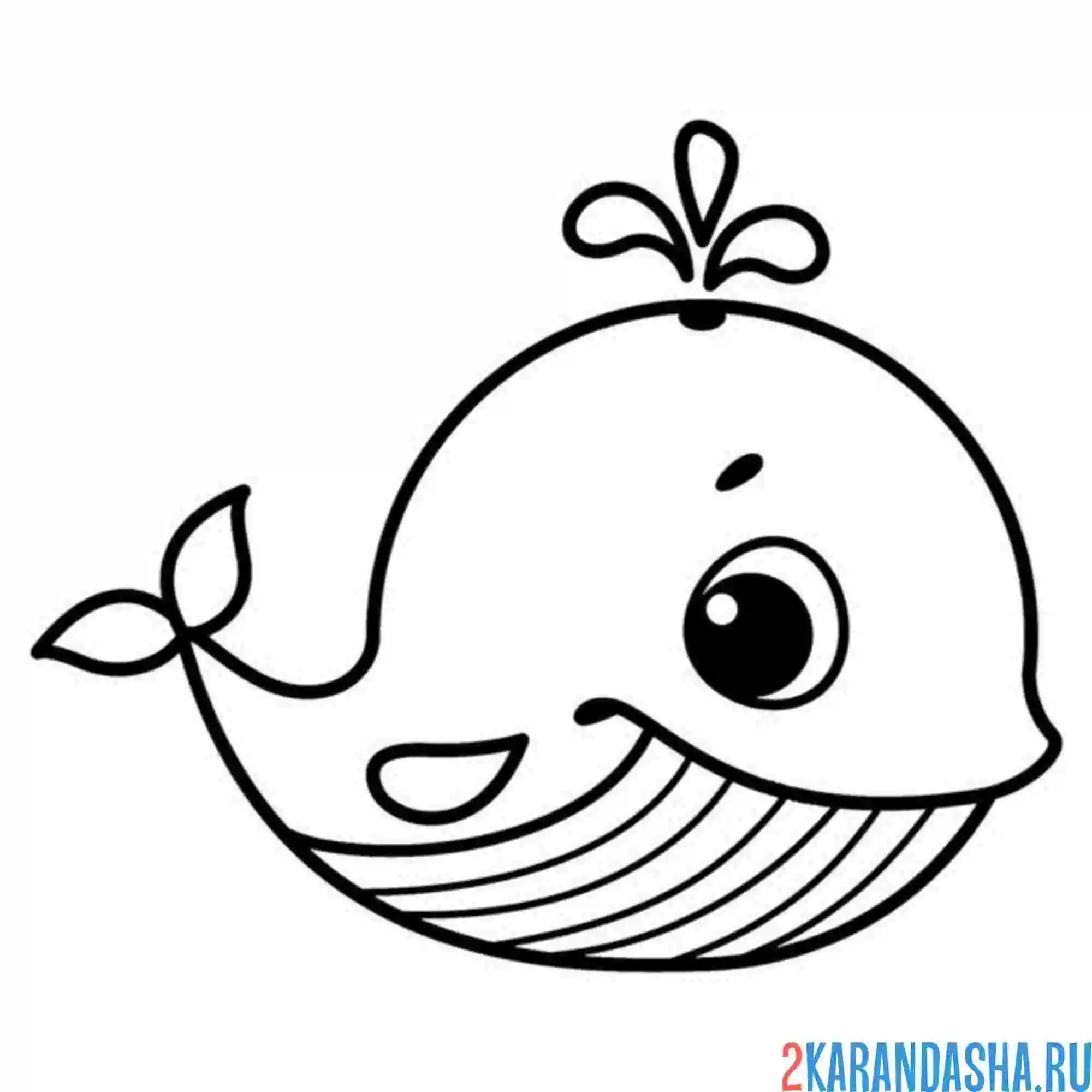 Раскраска легкая раскраска дельфин