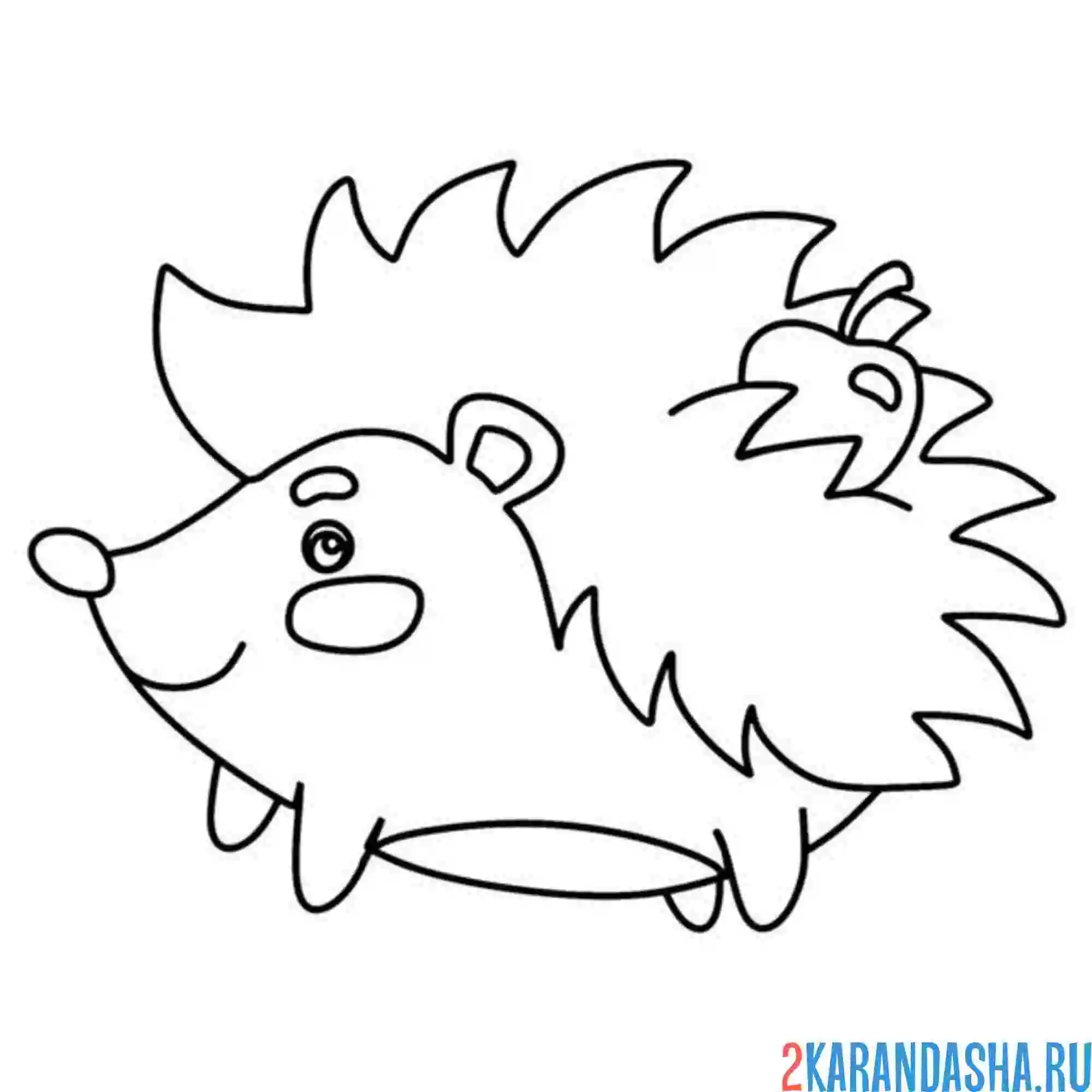 Раскраска легкая раскраска ежика