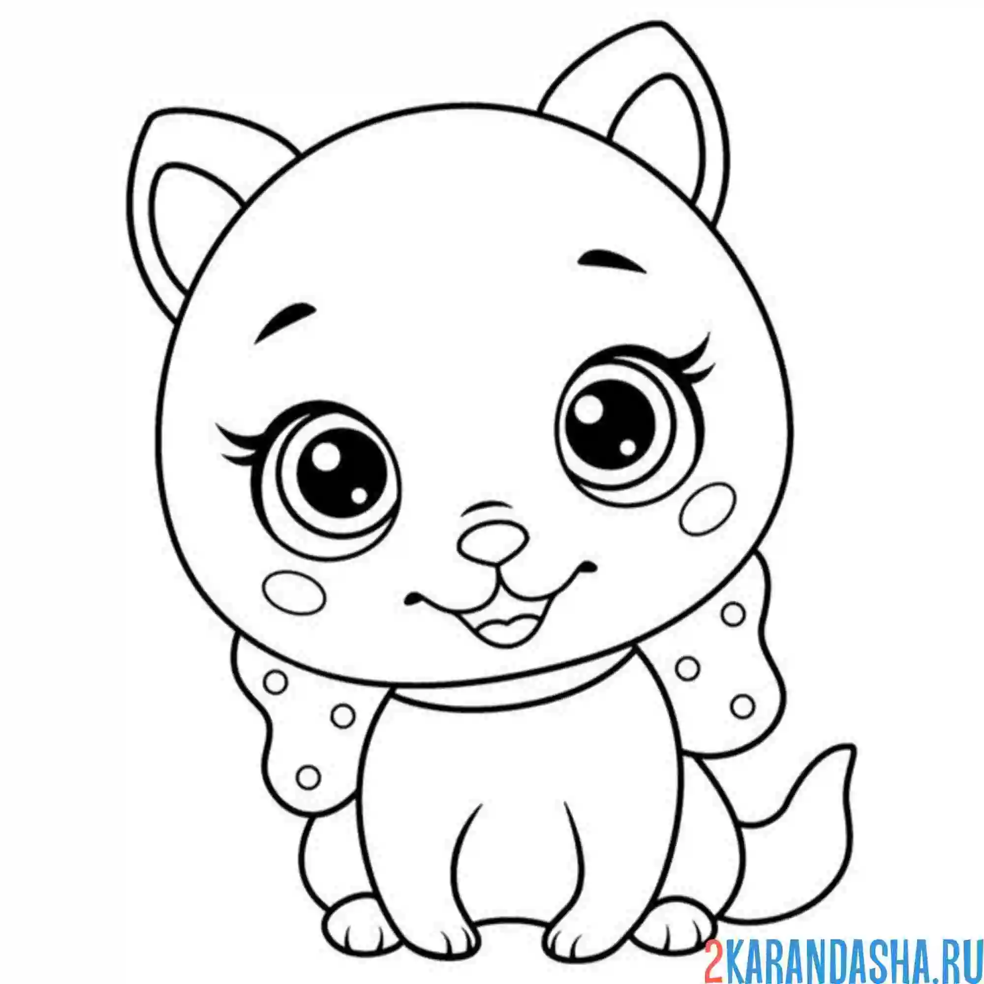 Раскраска красивая легкая раскраска кошечка