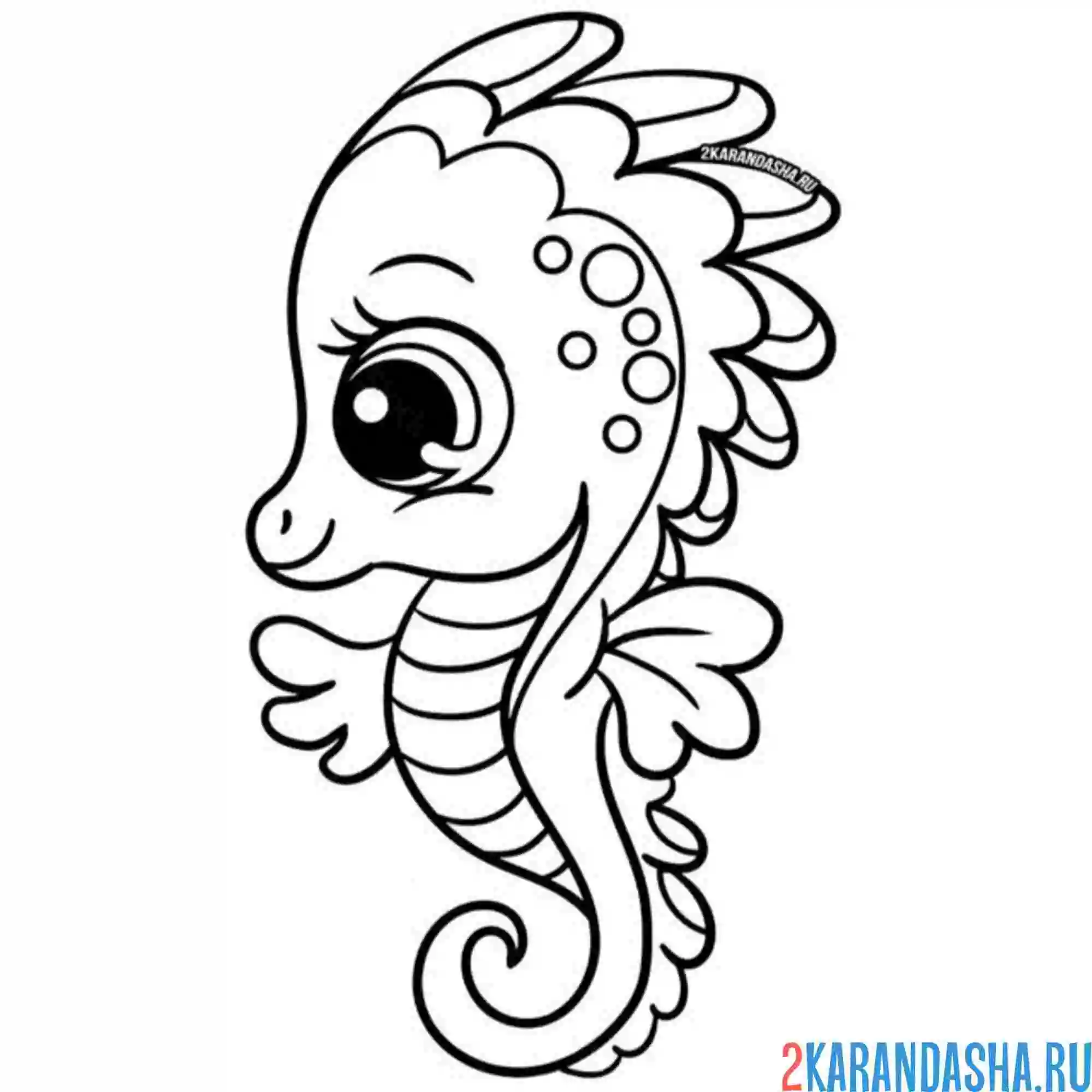 Раскраска морской конек