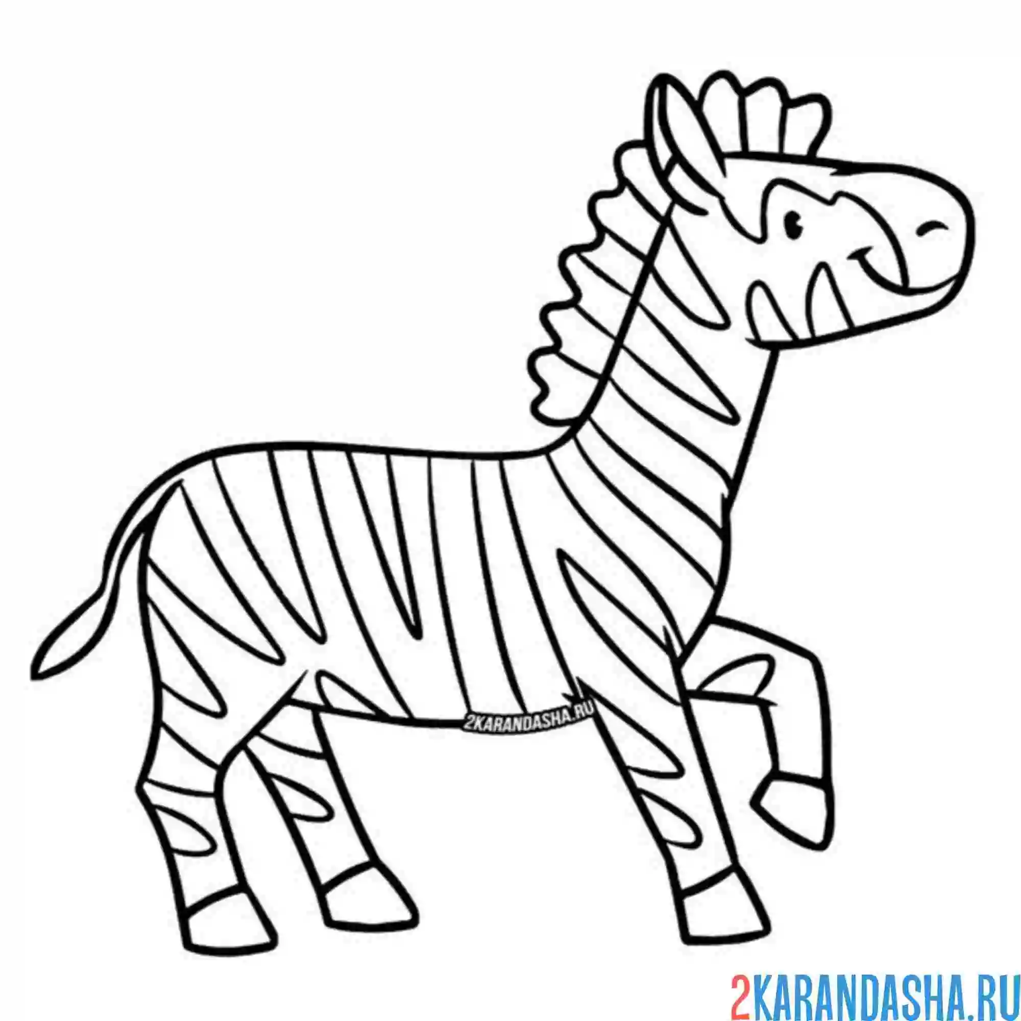 Раскраска зебра улыбака