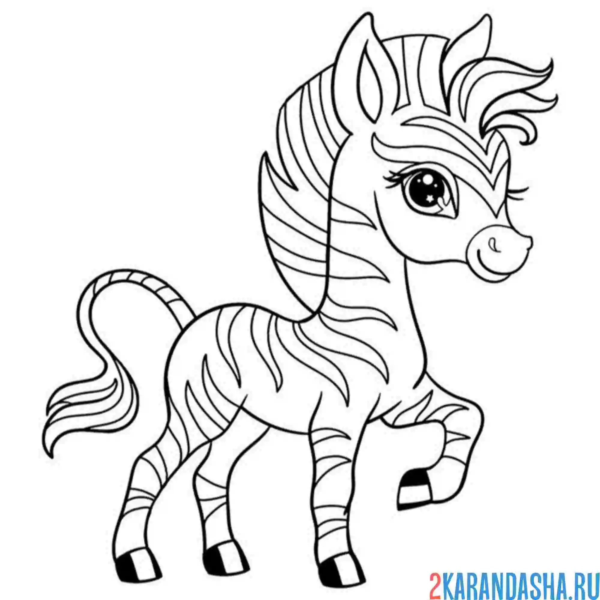 Раскраска зебра-лошадка