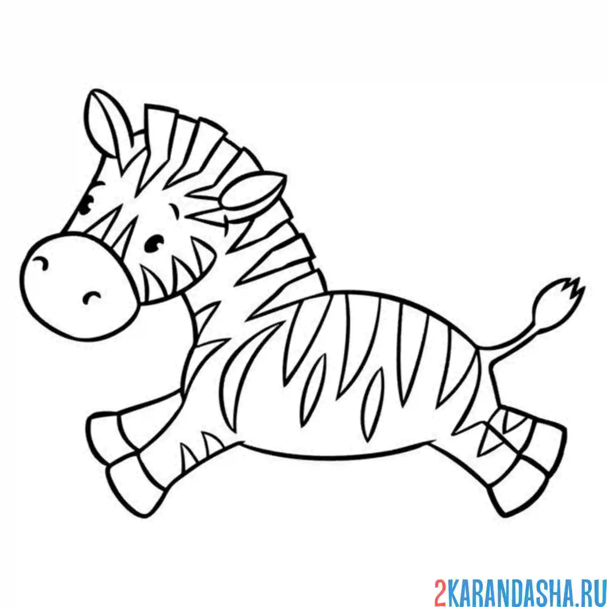 Раскраска зебра в прыжке