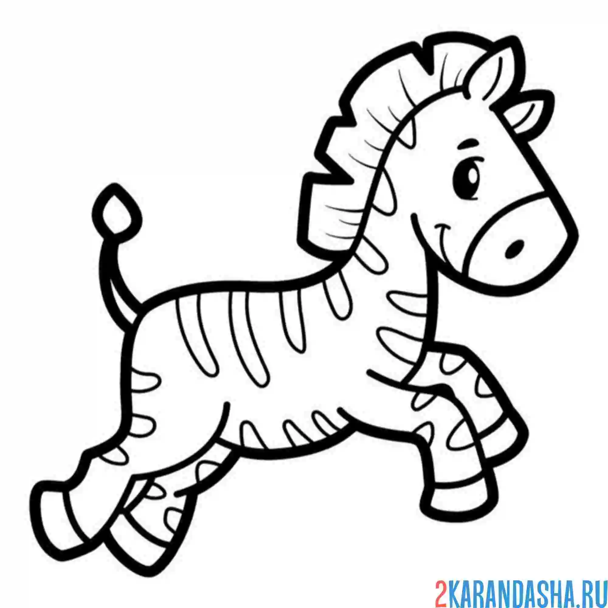 Раскраска красивая зебра