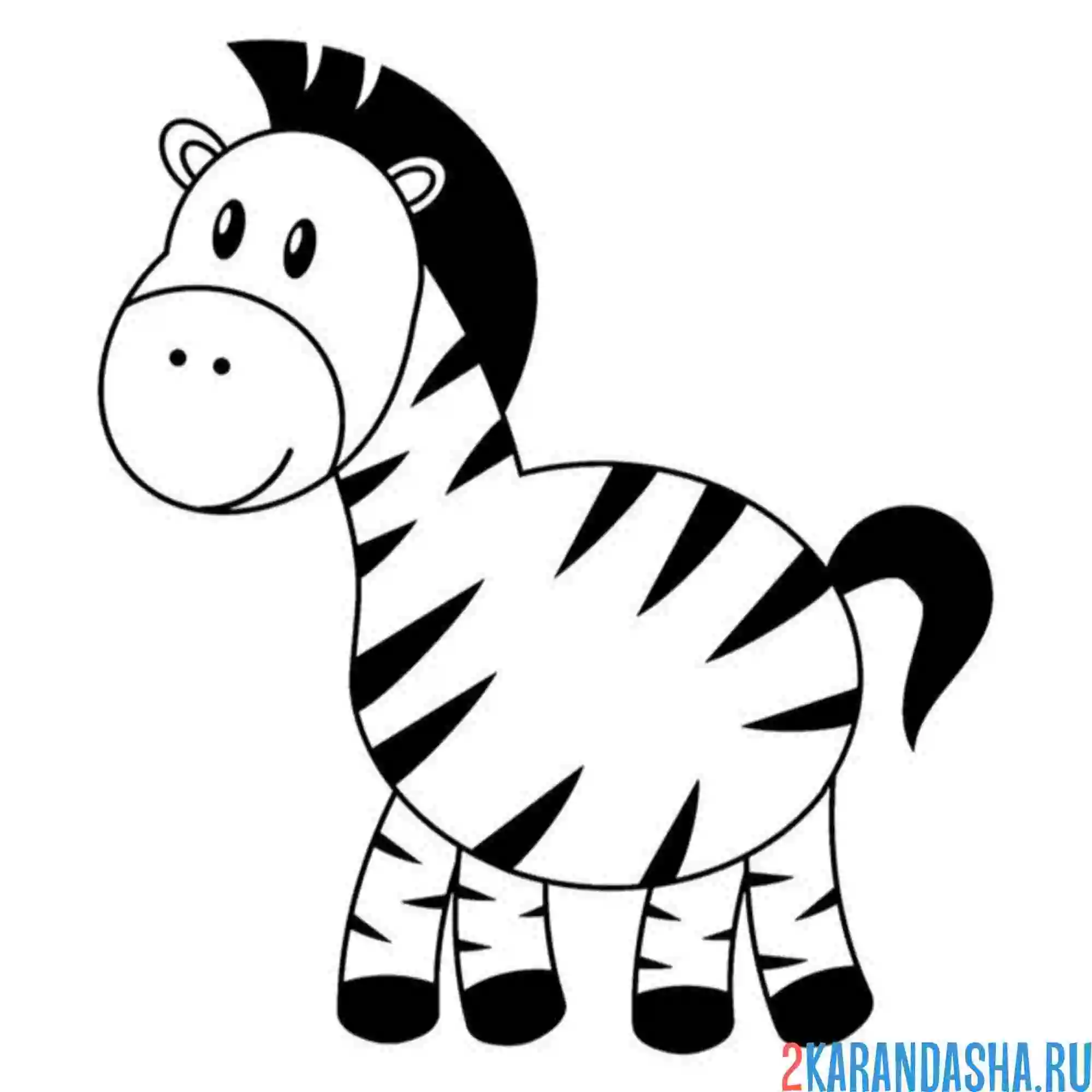 Раскраска зебра смешная