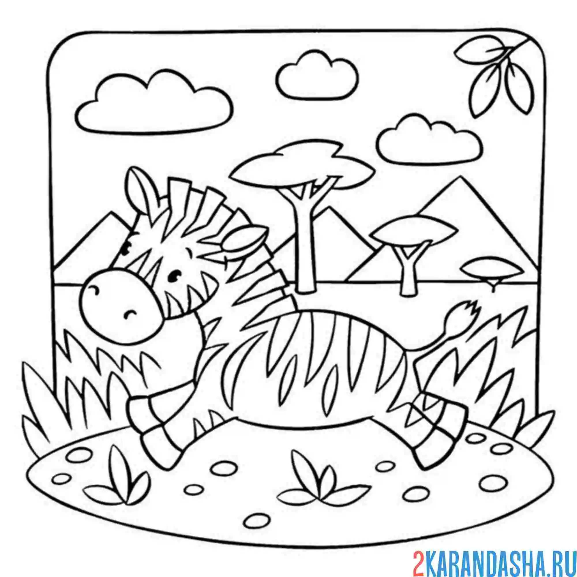 Раскраска зебра скачет