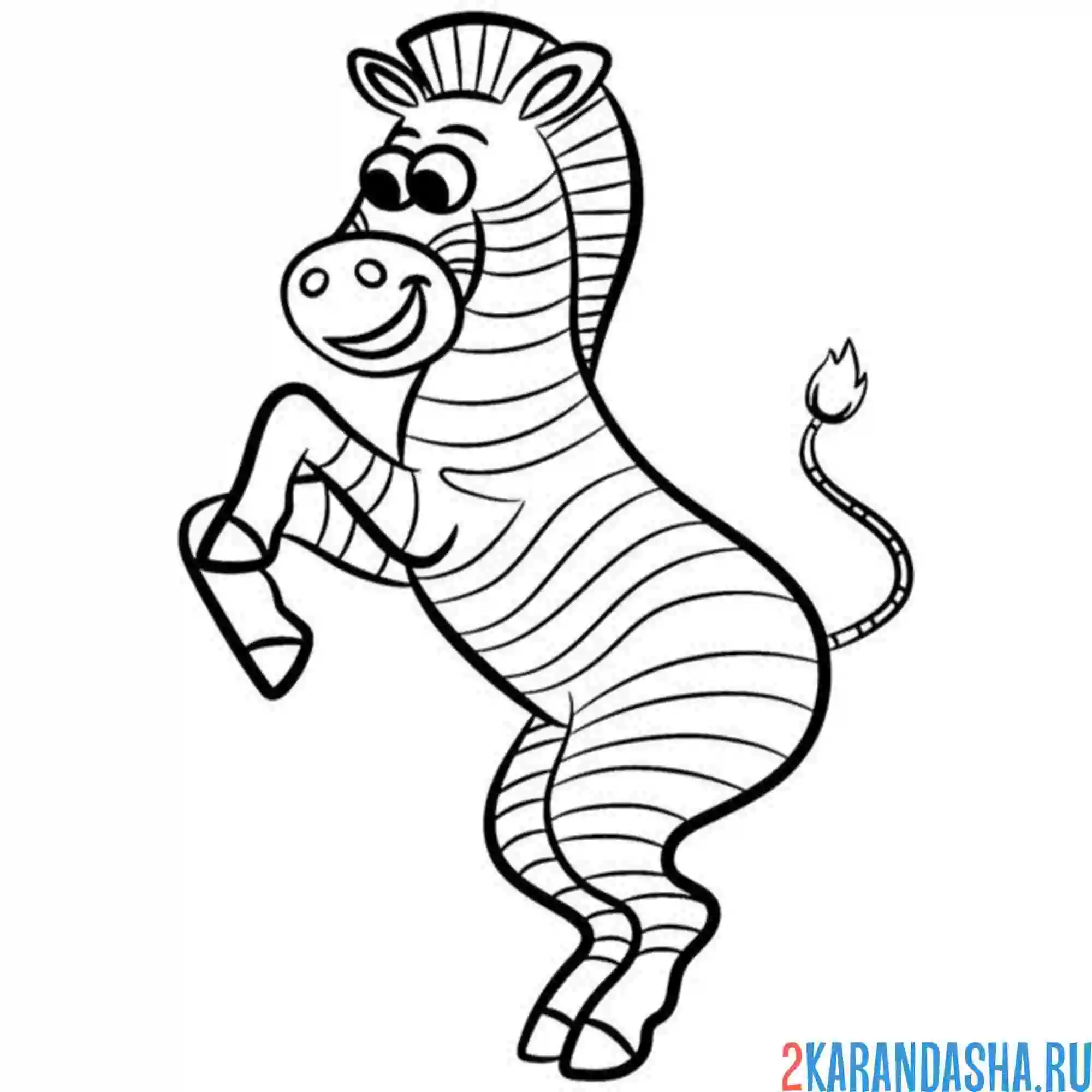 Раскраска зебра танцует