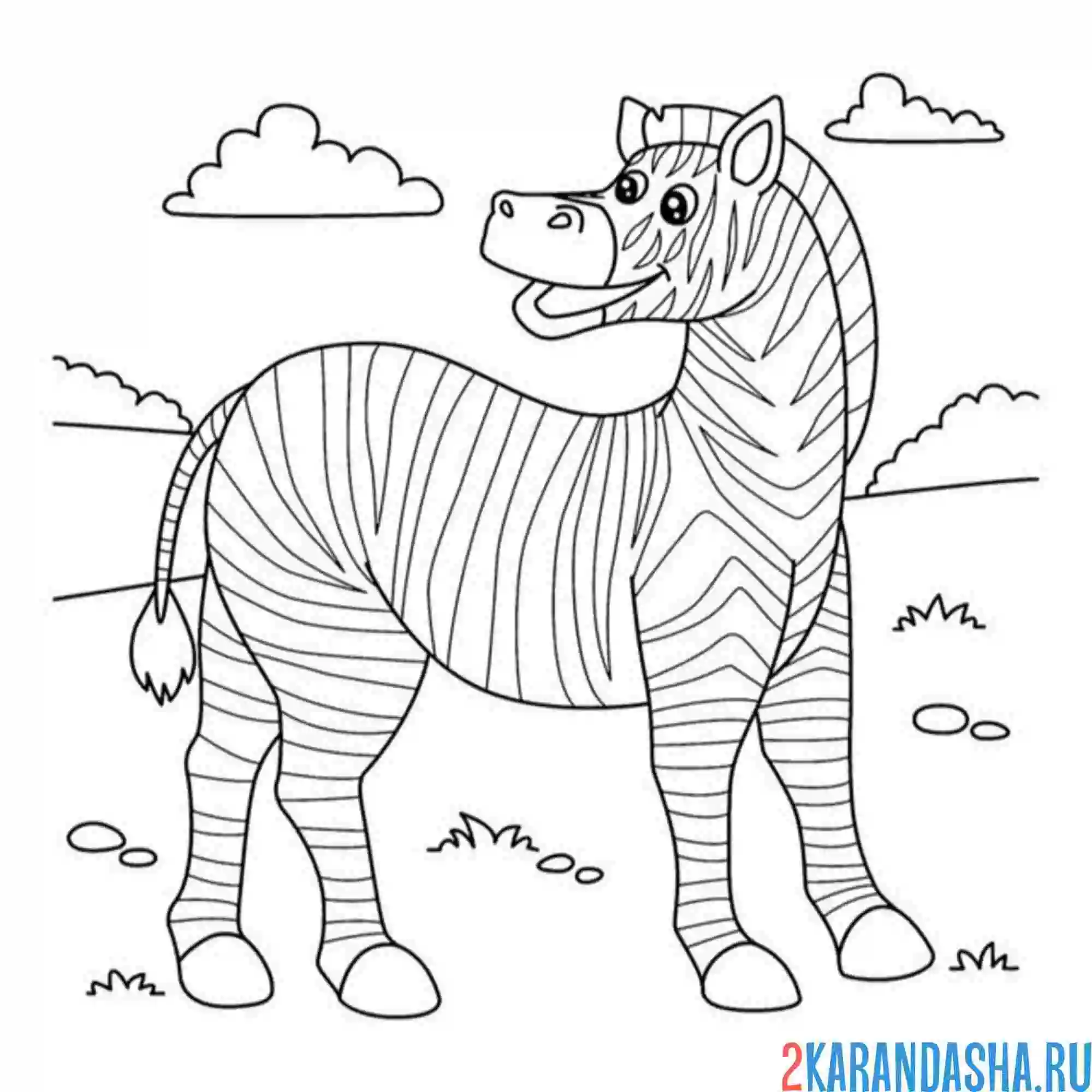 Раскраска необычная зебра