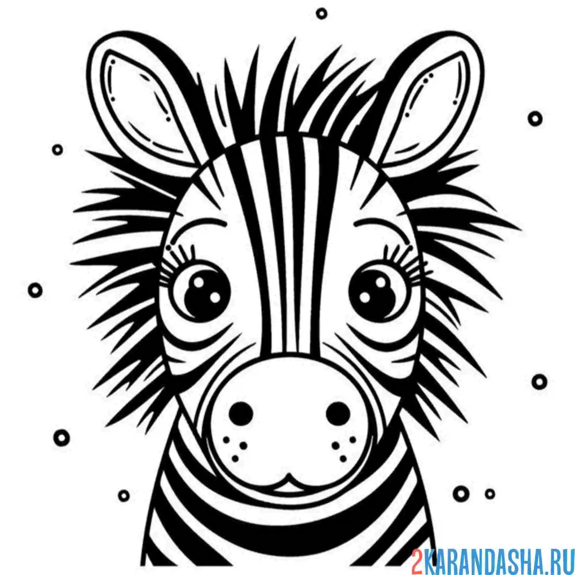 Раскраска голова зебры испуг
