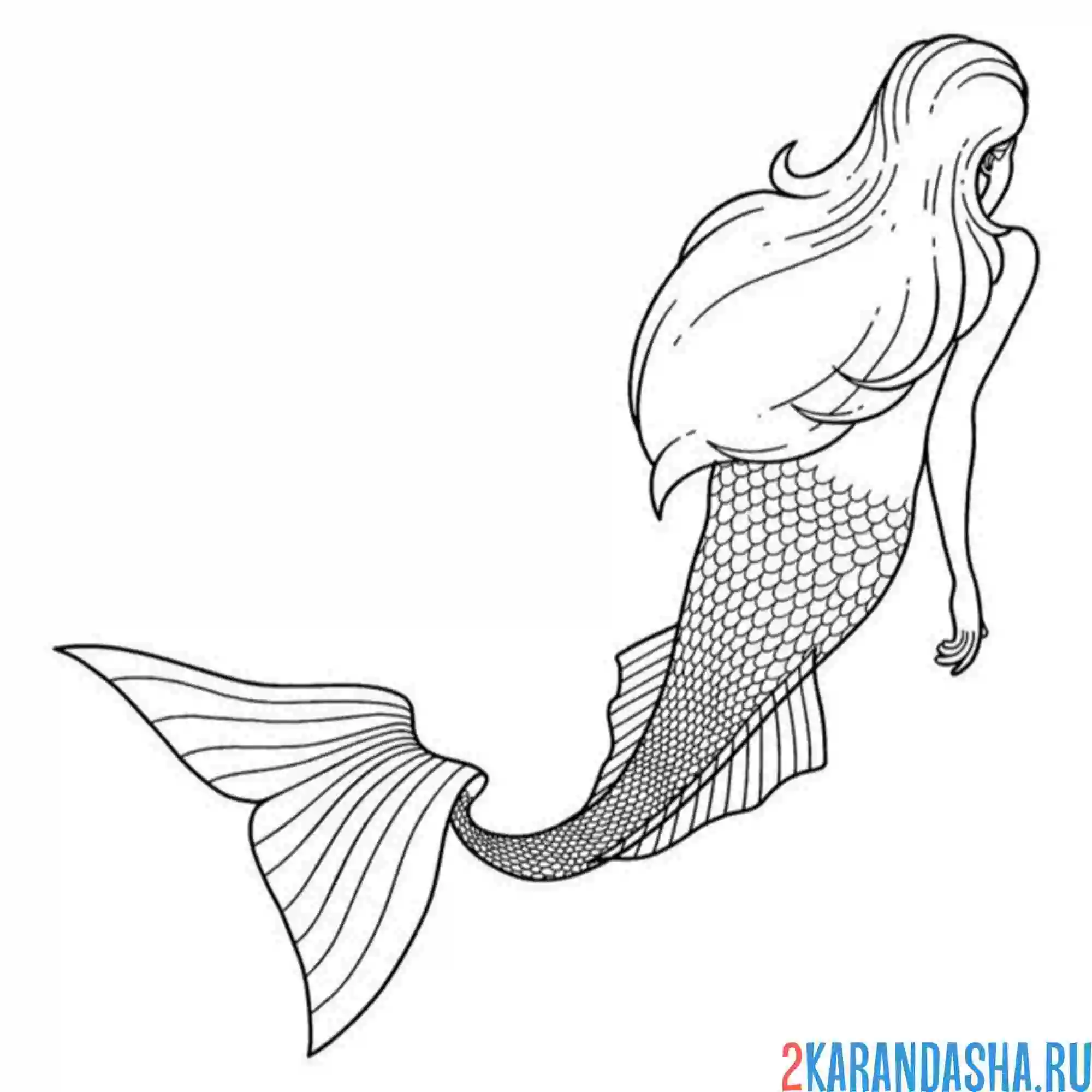 Раскраска русалка спиной