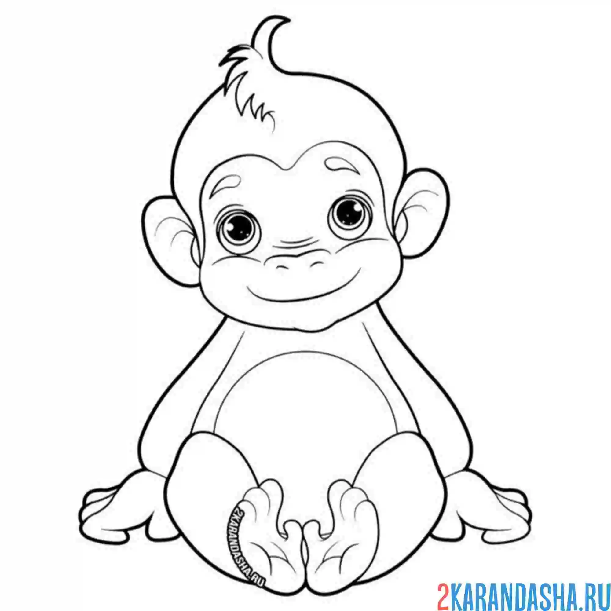 Раскраска маленькая обезьянка