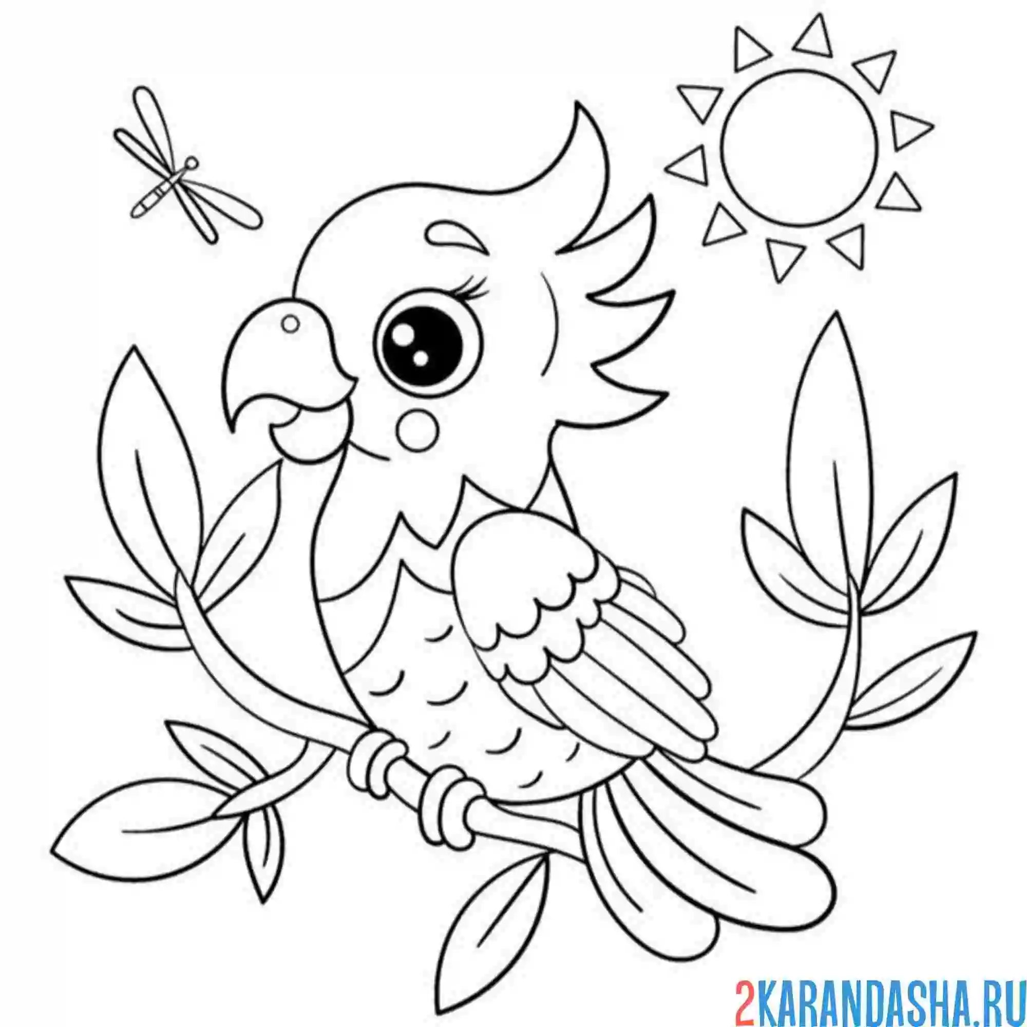 Раскраска попугайчик на ветке