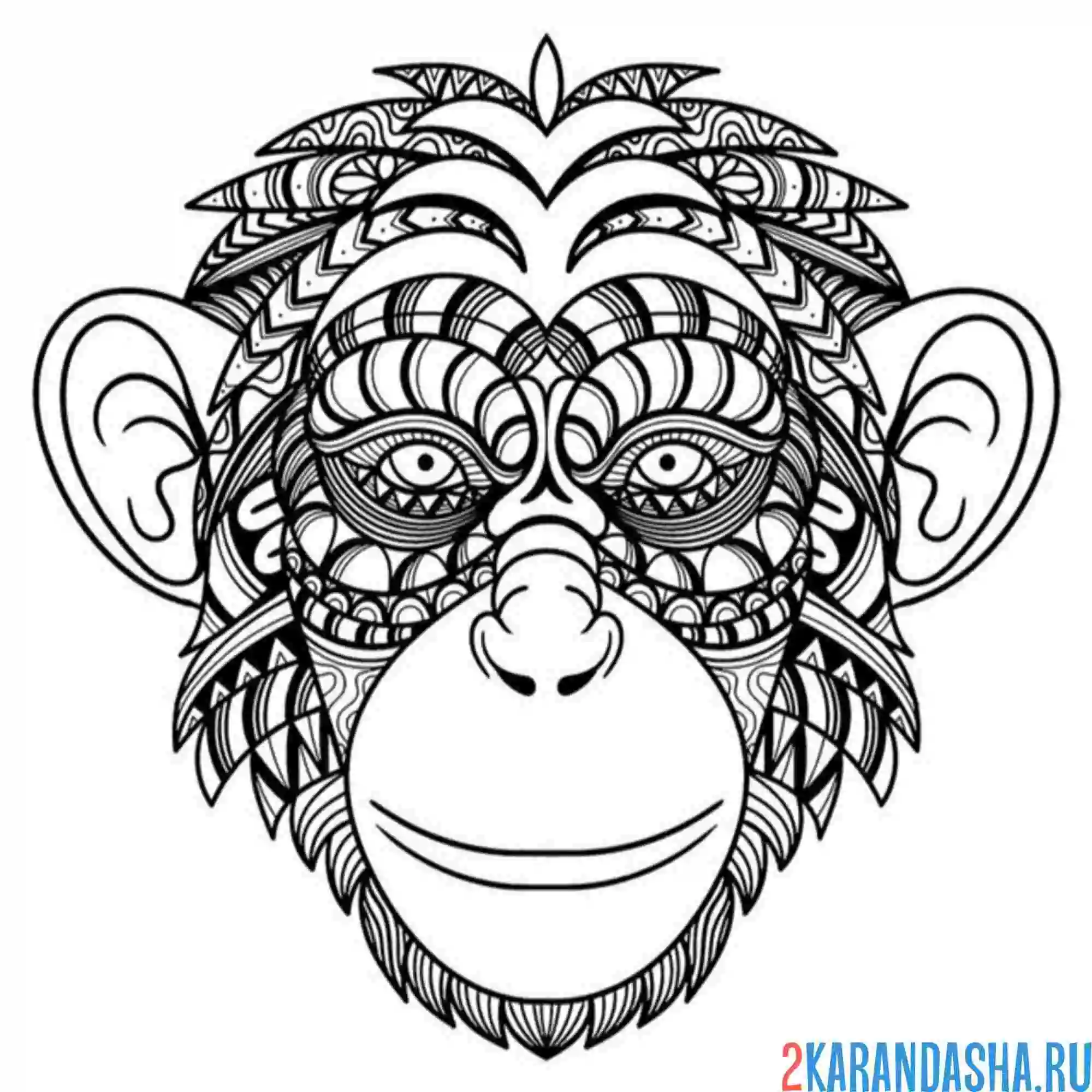 Раскраска голова обезьяны антистресс