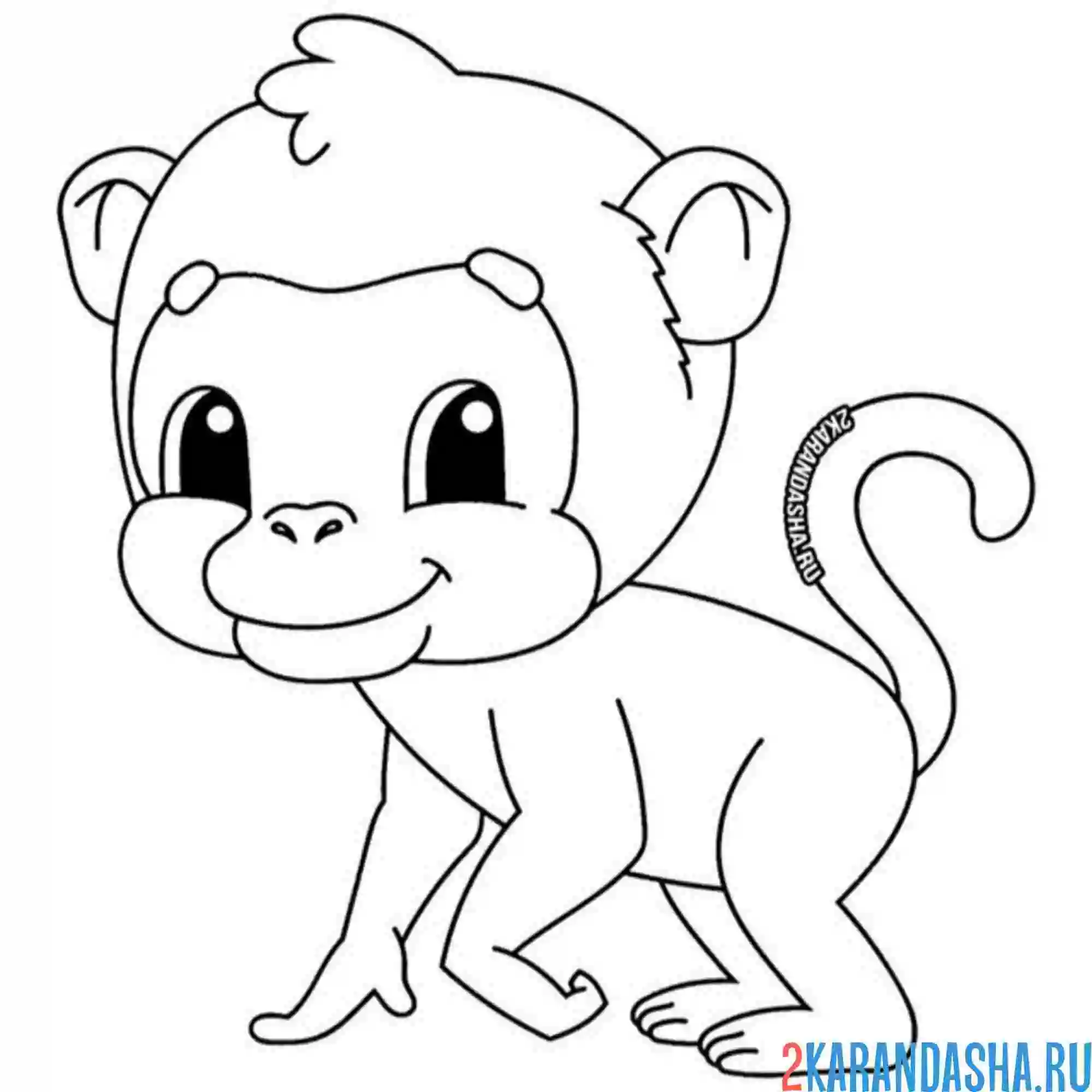 Раскраска малышка обезьянка