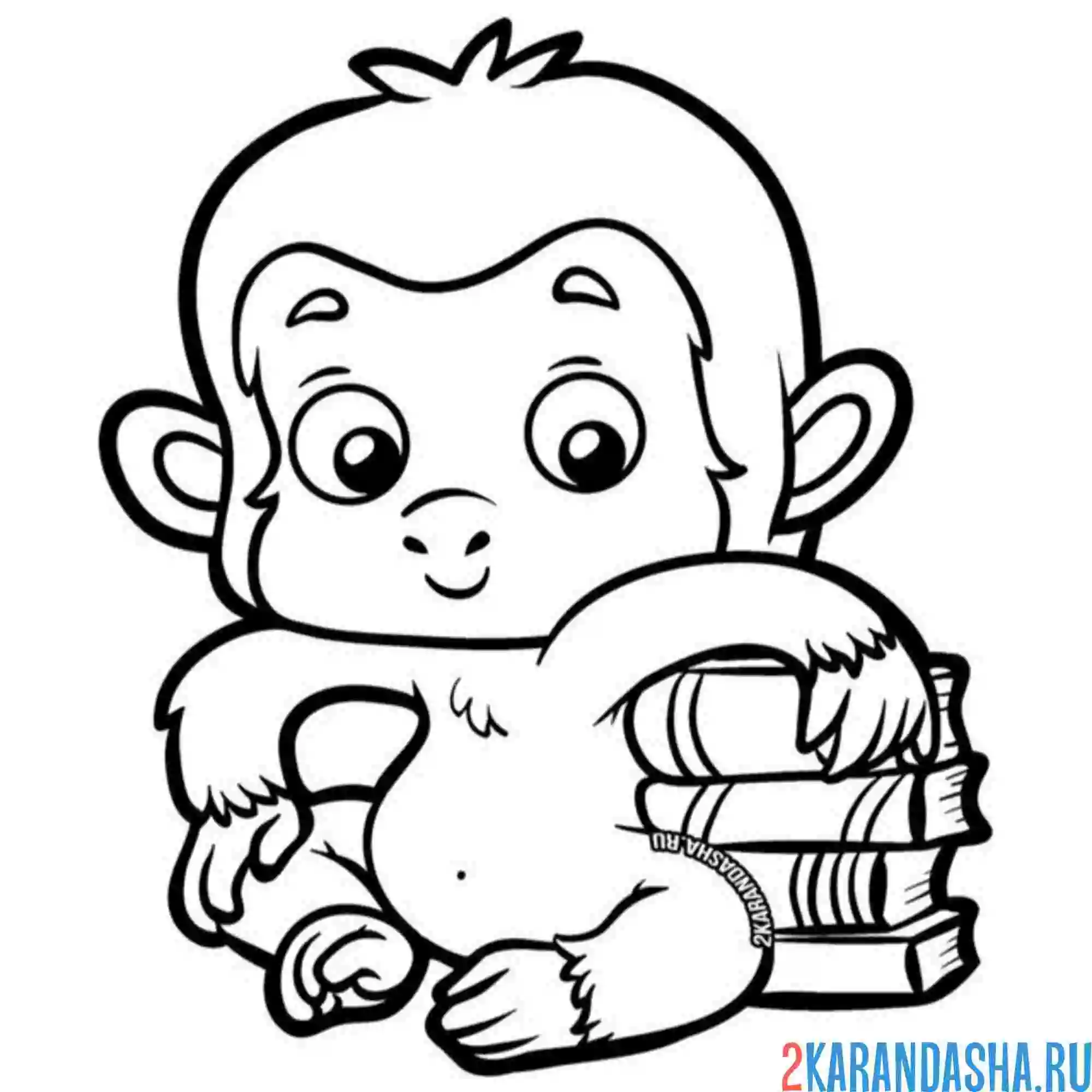 Раскраска обезьянка с книжками