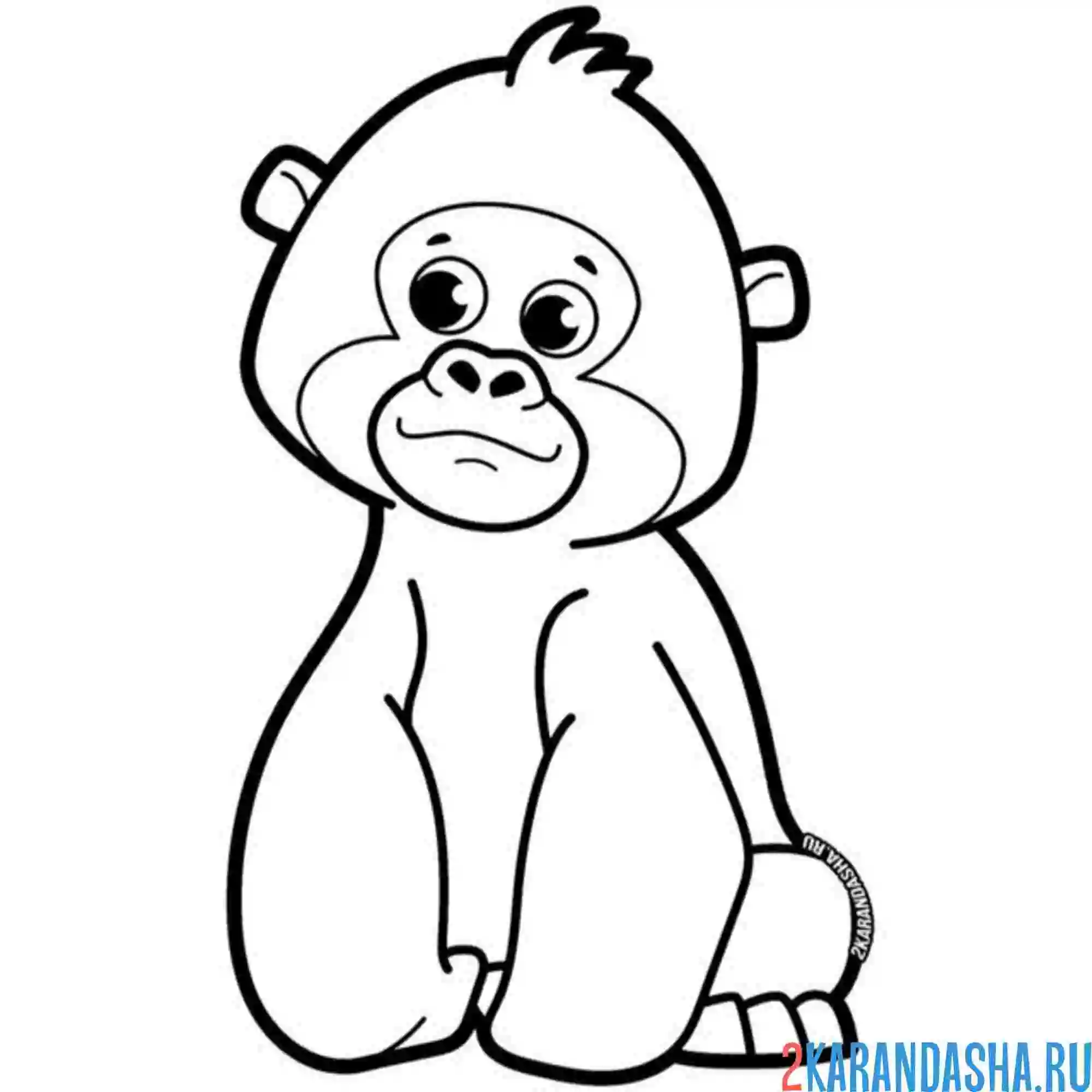 Раскраска горилла маленькая обезьянка