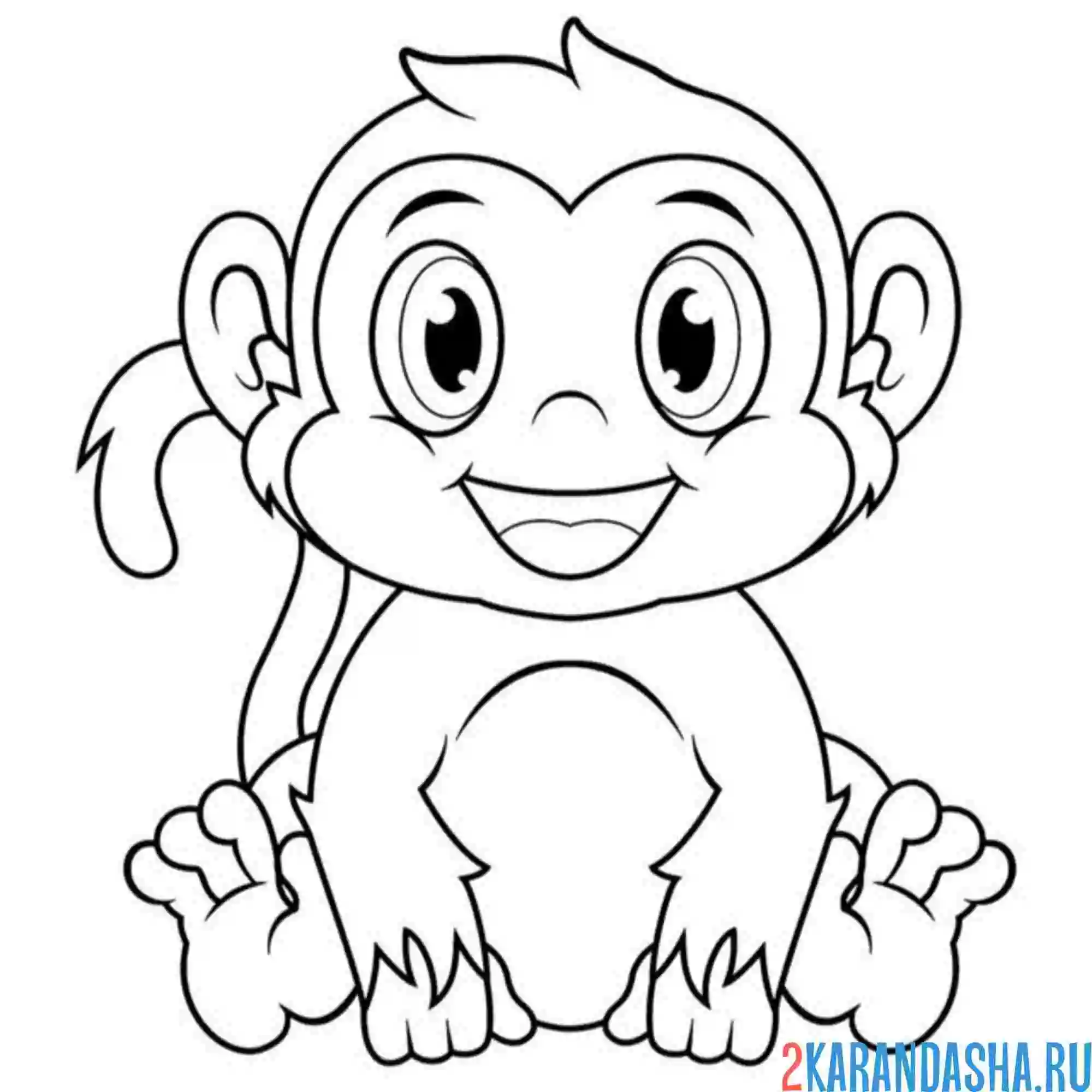 Раскраска малютка обезьянка