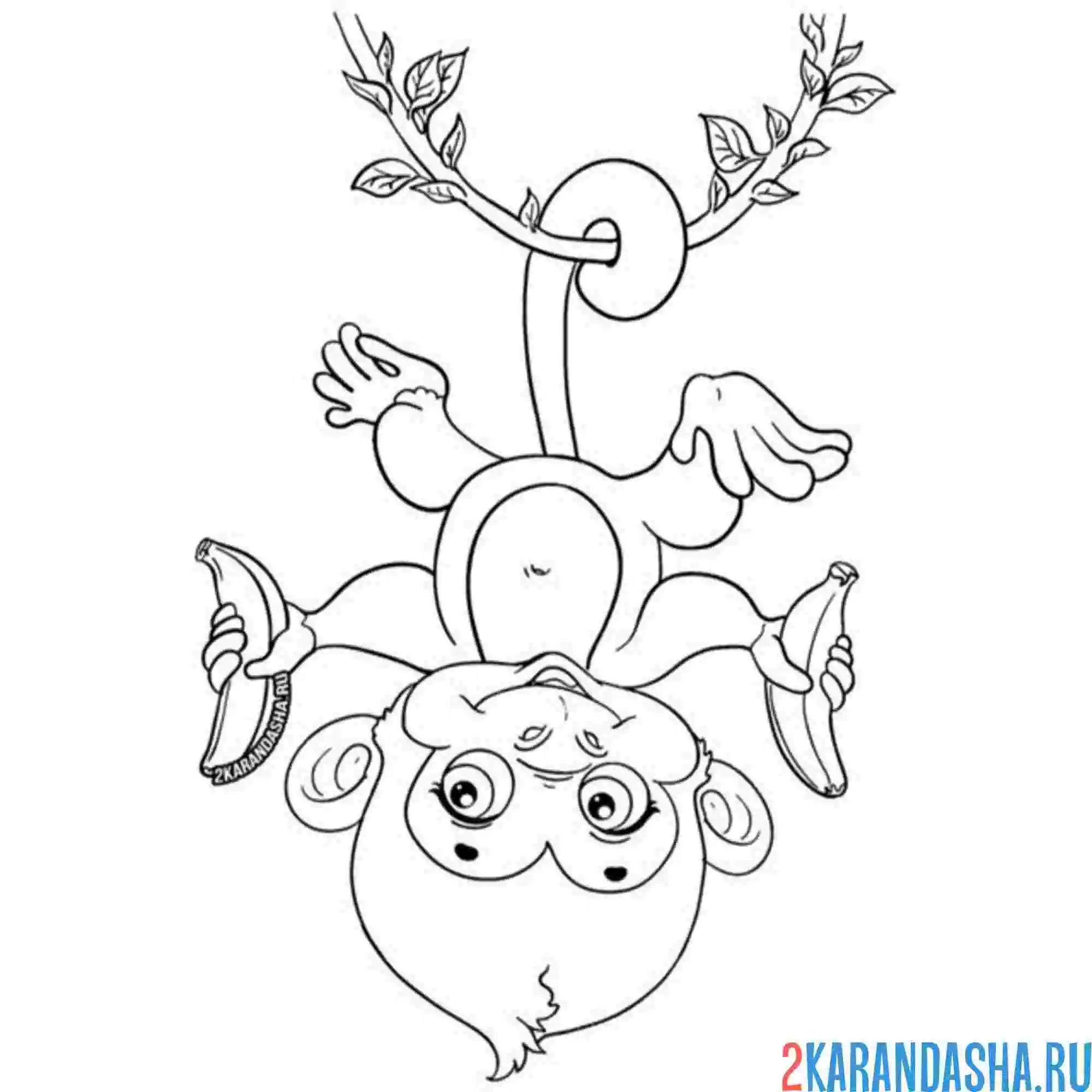 Раскраска обезьянка вверх ногами