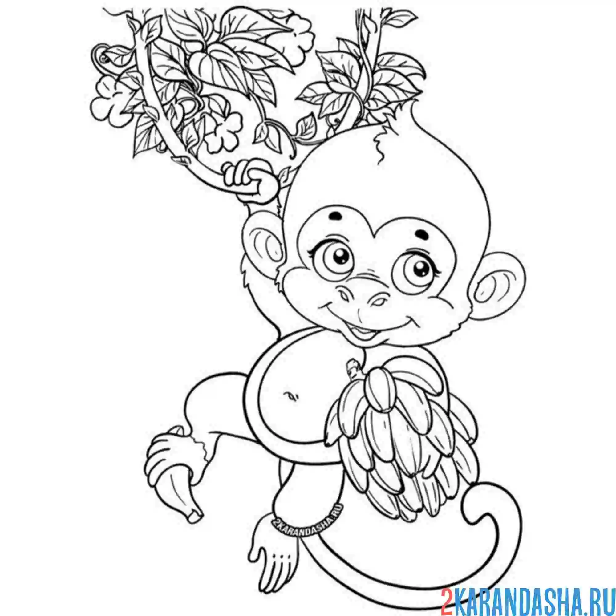 Раскраска обезьянка и ветка бананов