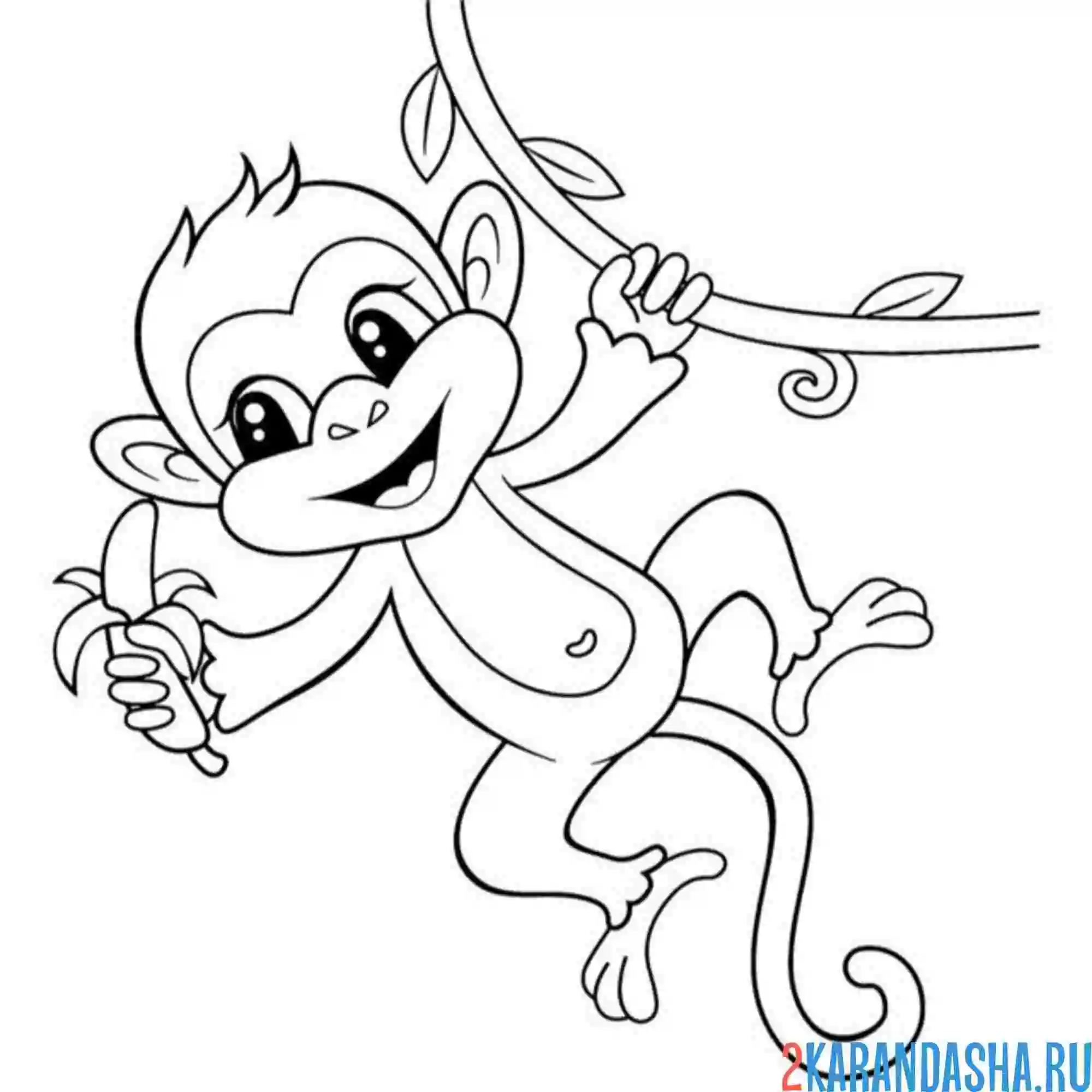 Раскраска обезьяна на лиане