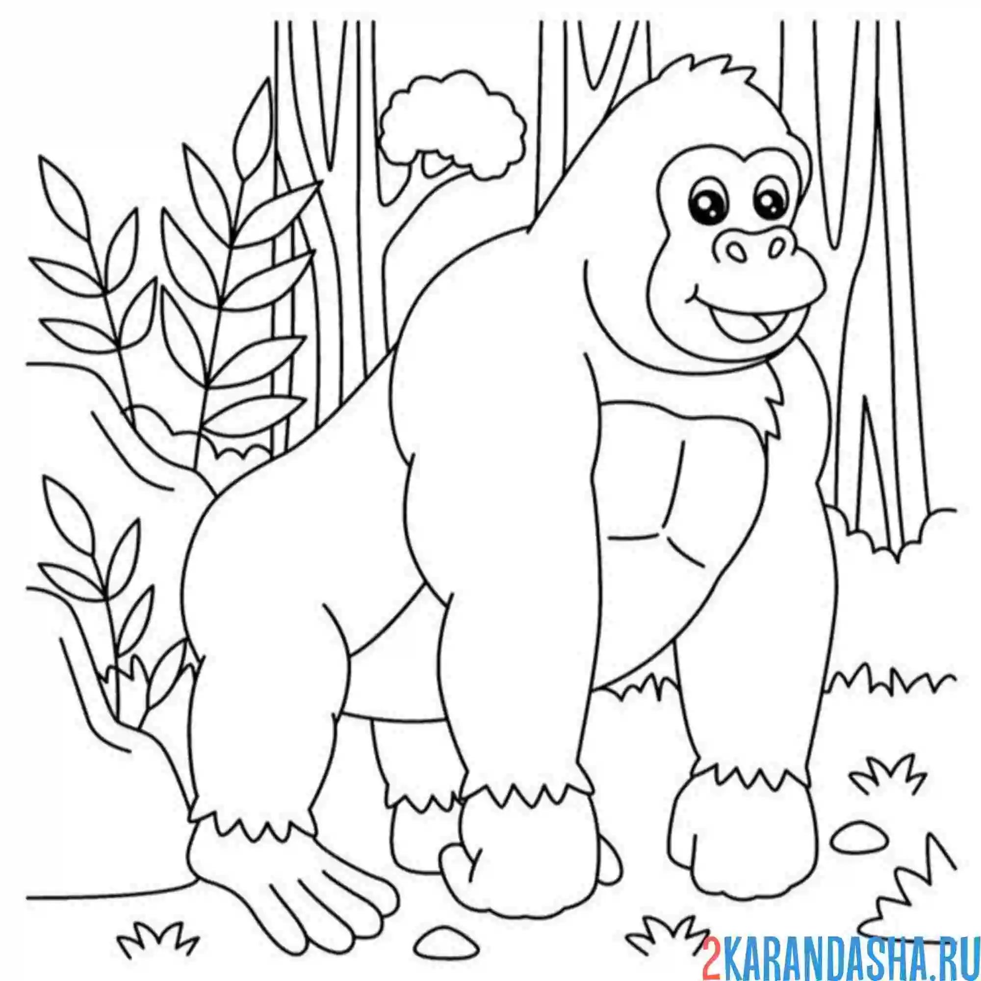 Раскраска большая обезьяна в лесу