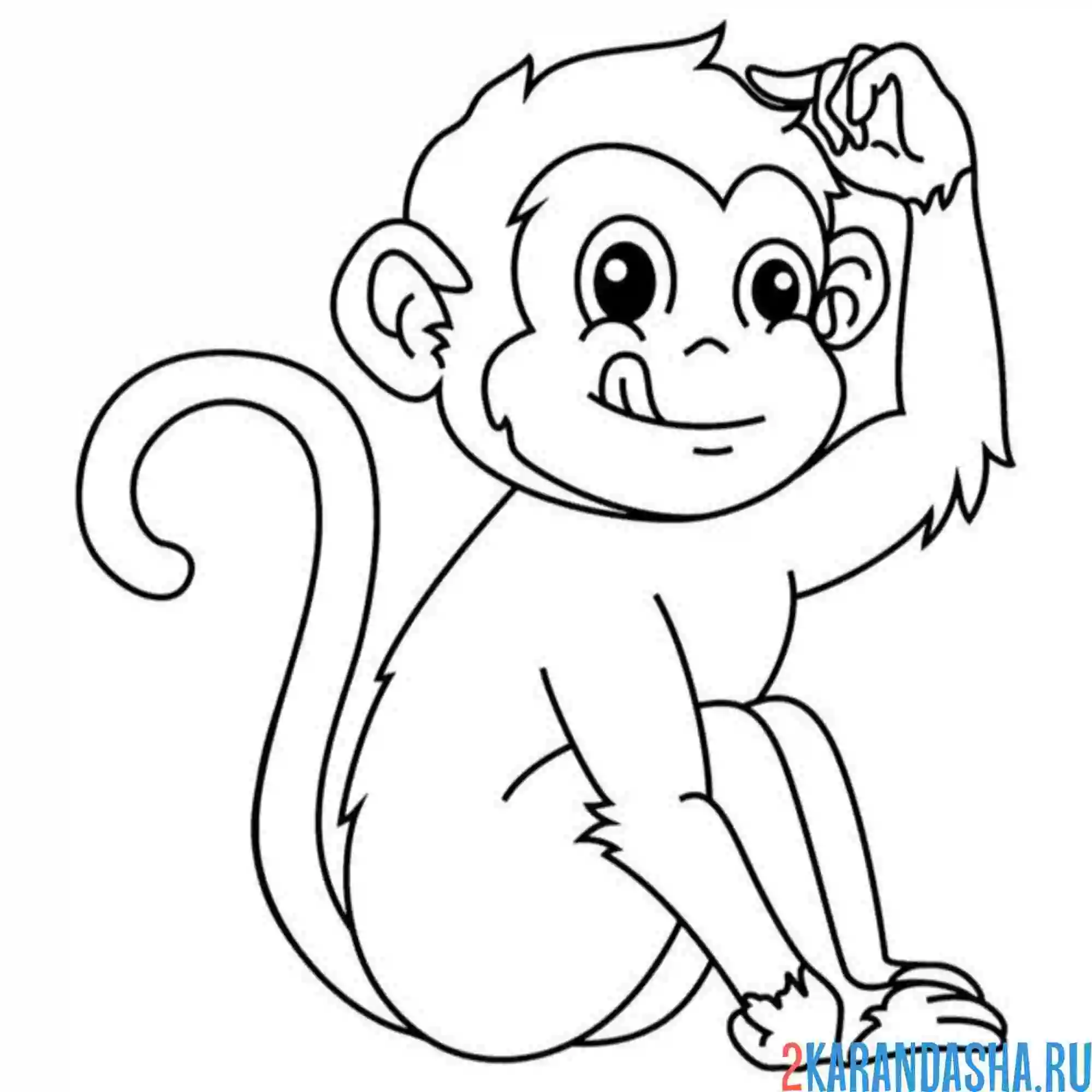 Раскраска обезьянка высунула язык