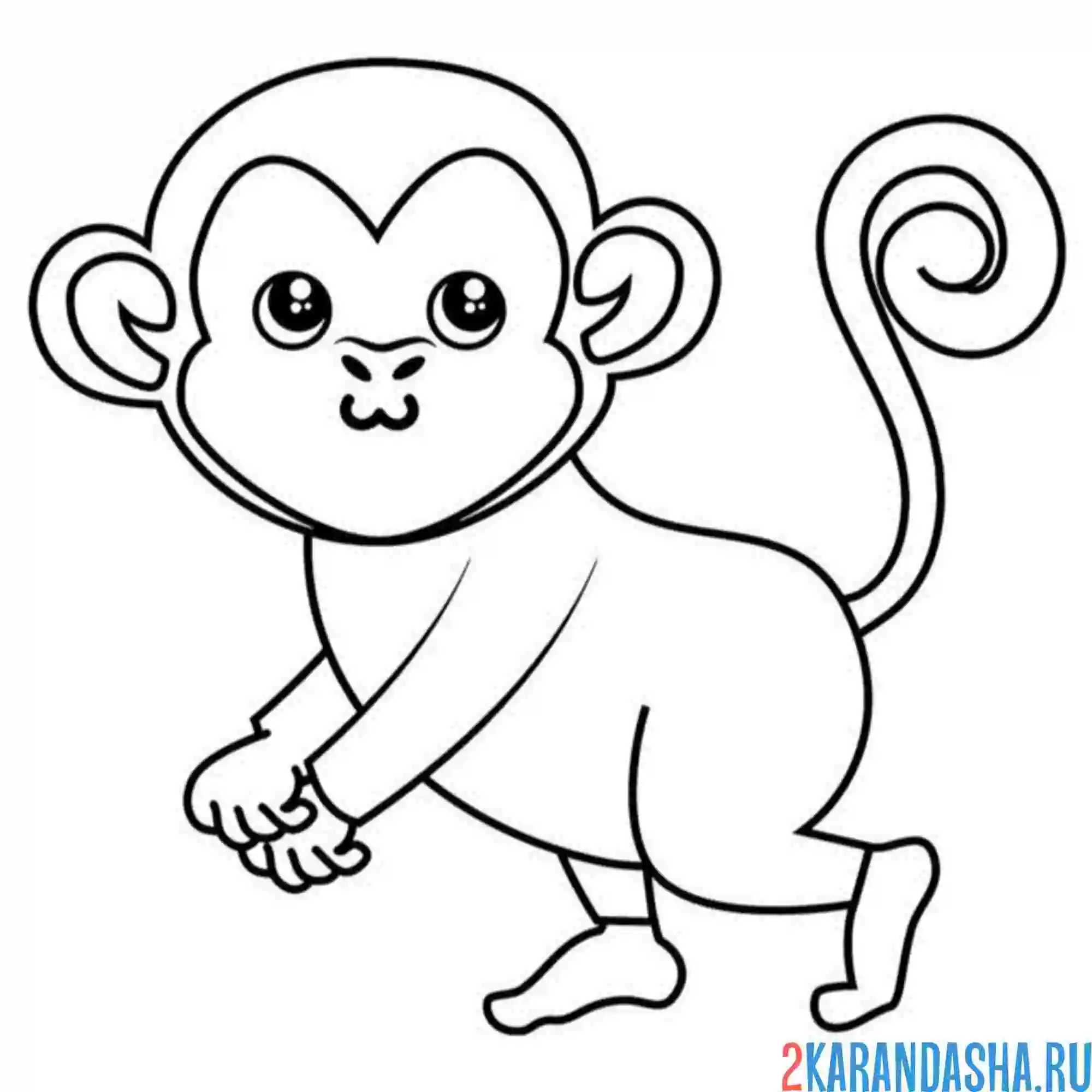 Раскраска обезьянка крошка