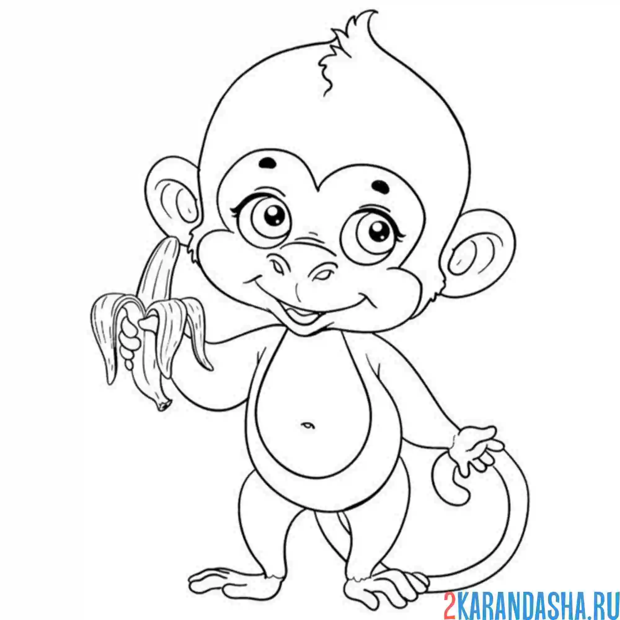 Раскраска обезьянка с одним бананом