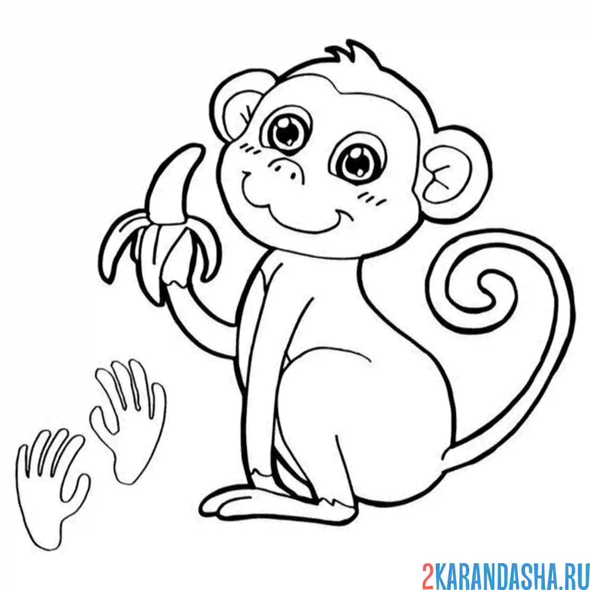 Раскраска обезьяна гипноз