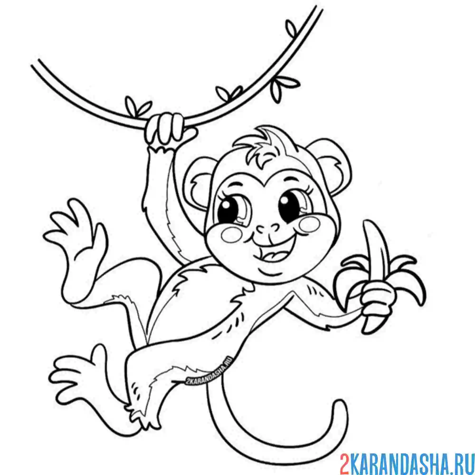 Раскраска на ветке обезьянка