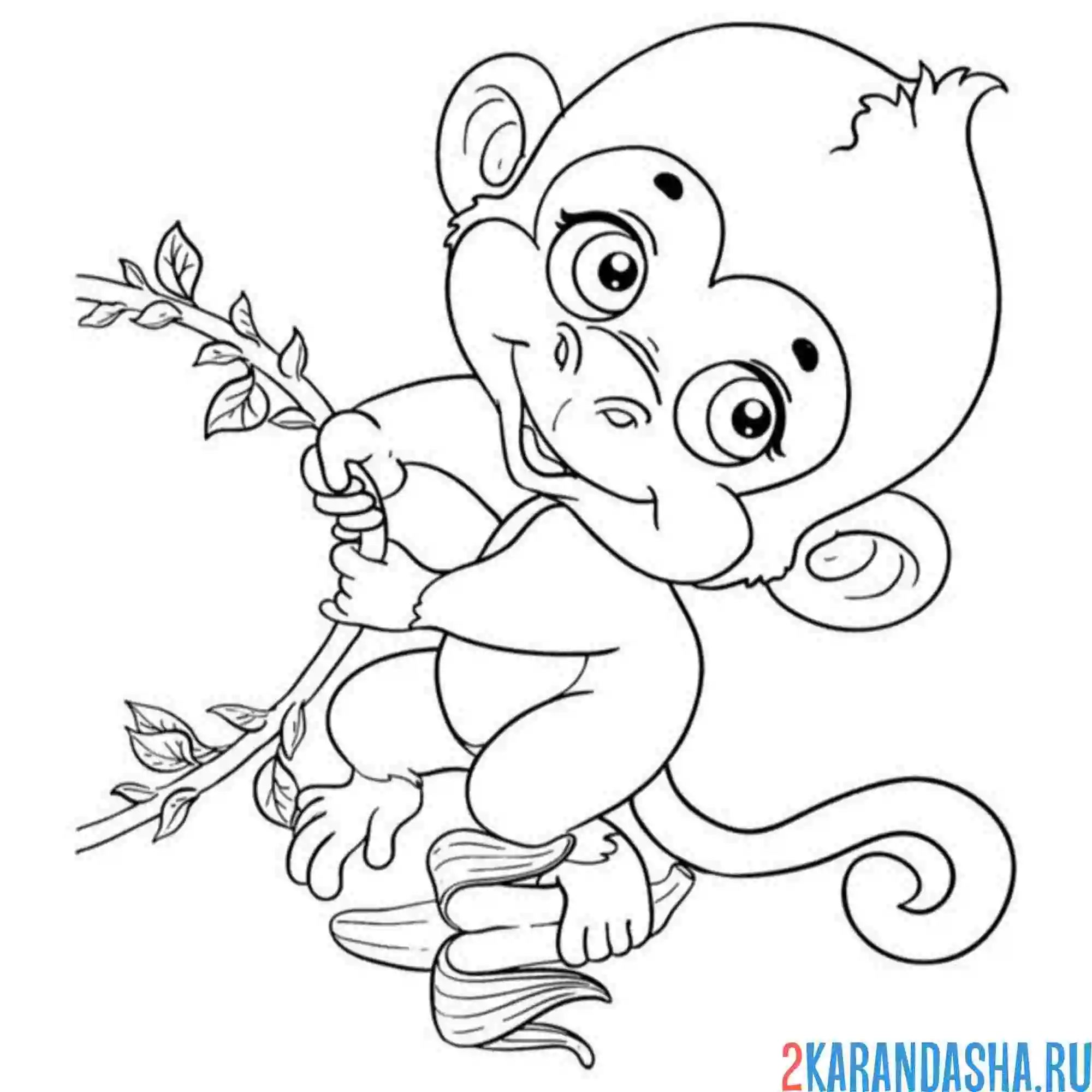 Раскраска обезьянка милашка на ветке