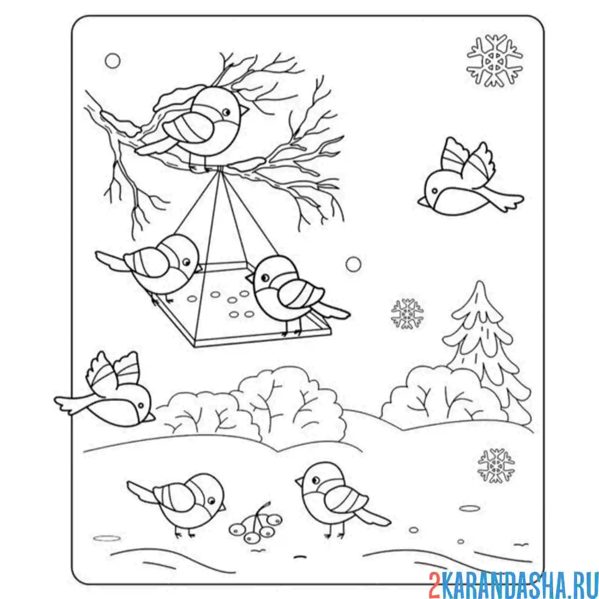 Раскраска синички на кормушке