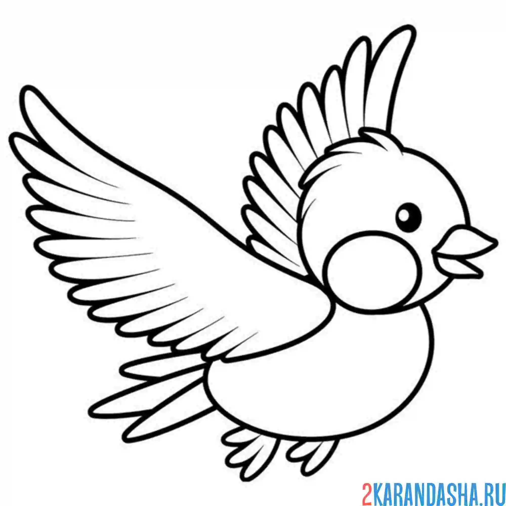 Раскраска синичка летит