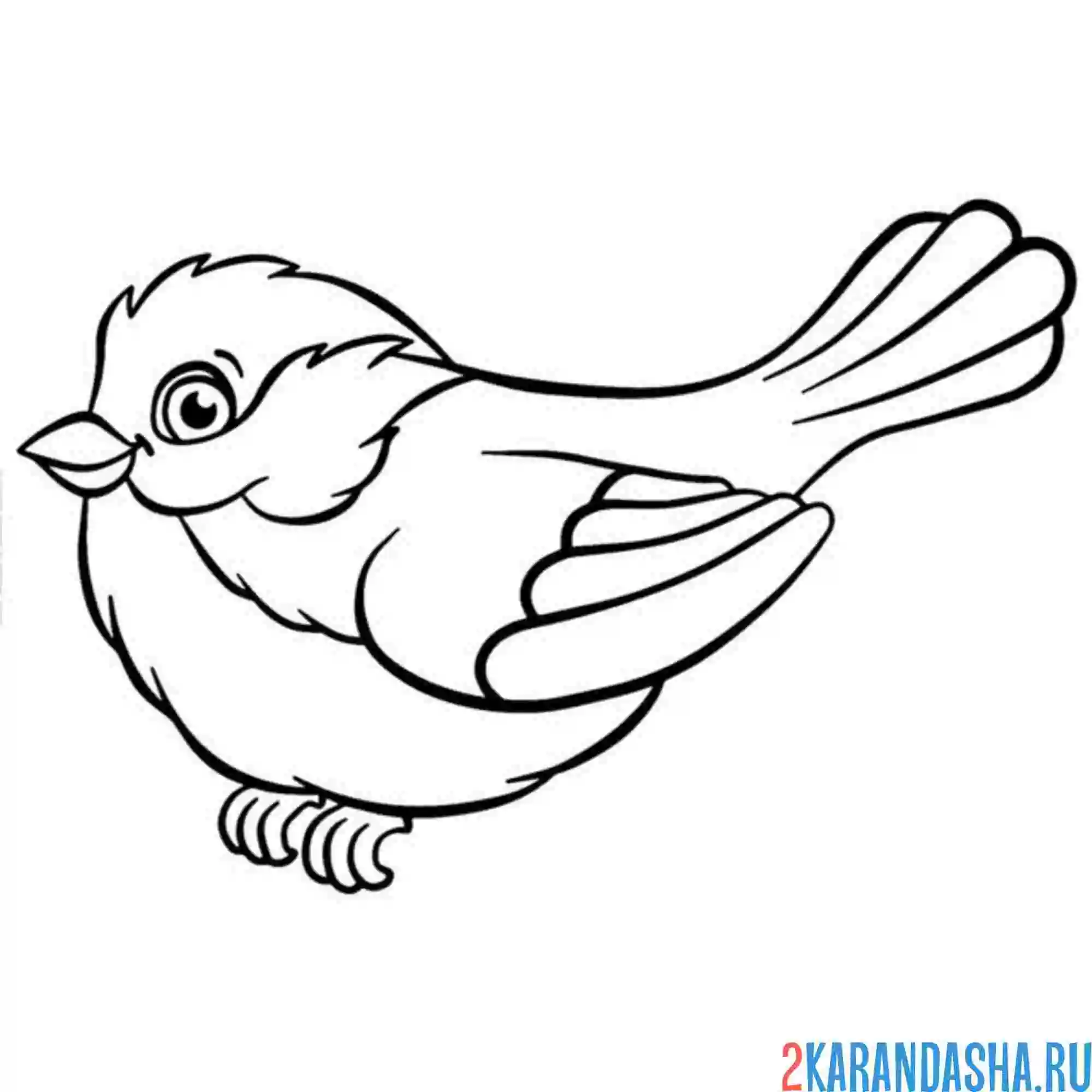 Раскраска синичка московка