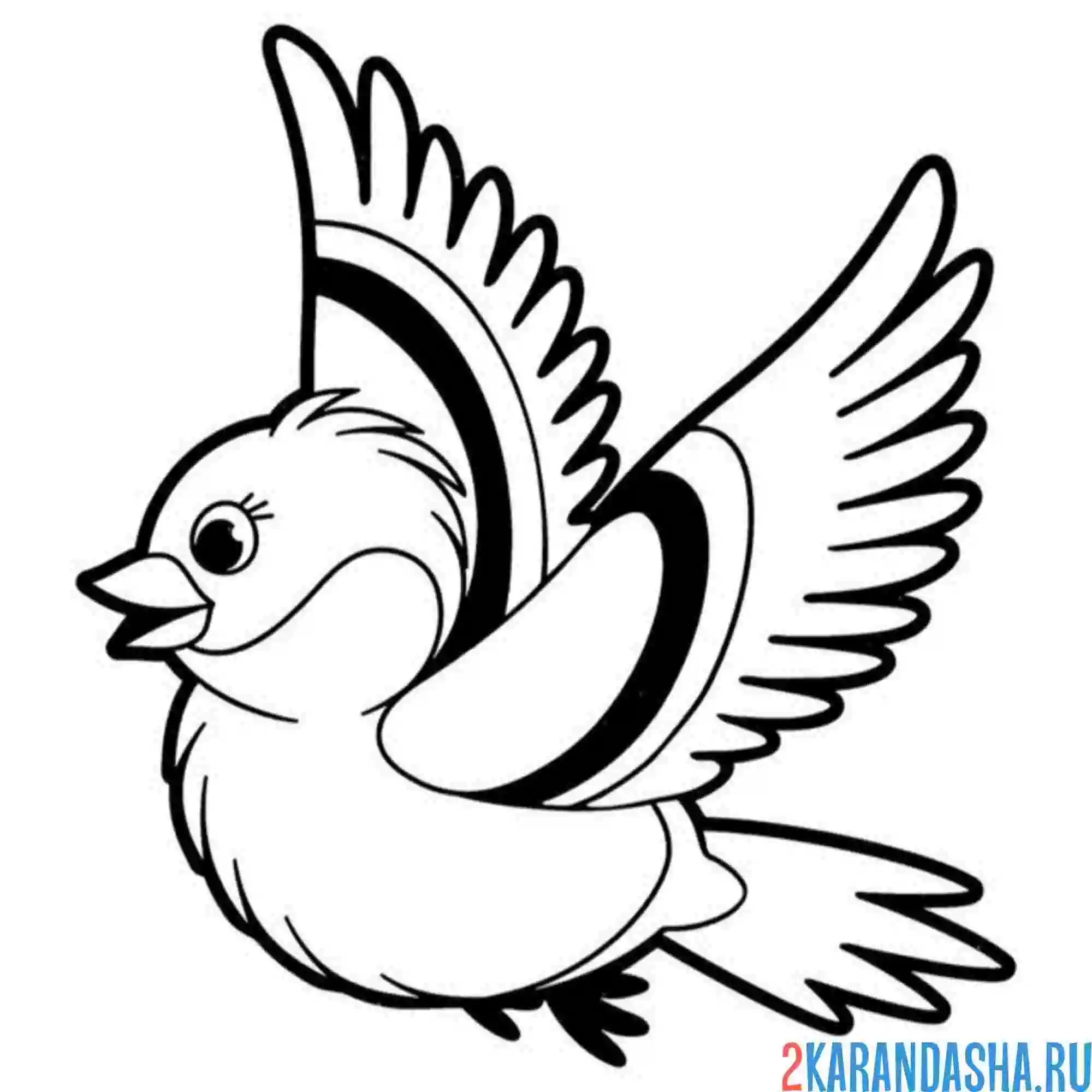 Раскраска синичка крылья