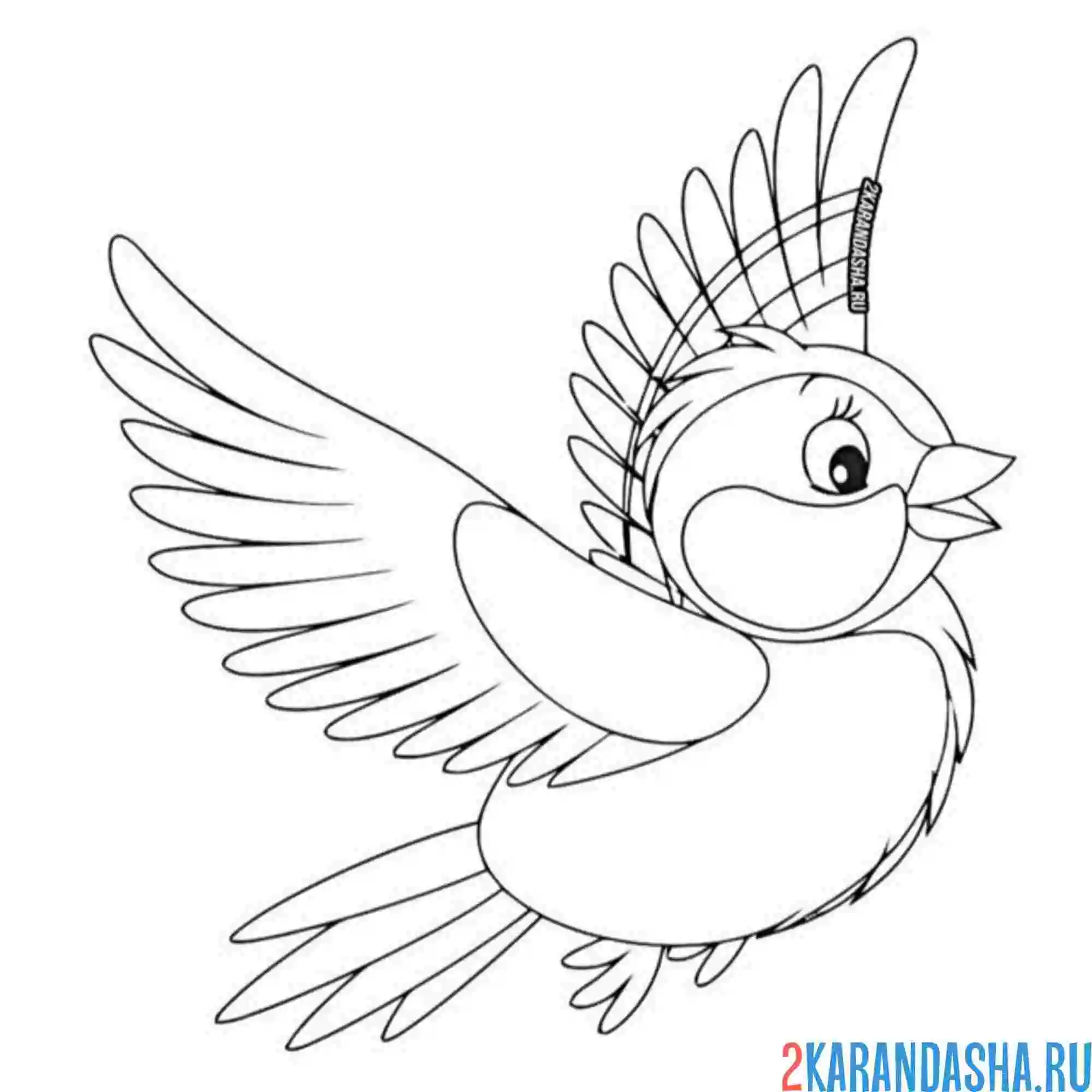 Раскраска большая синичка